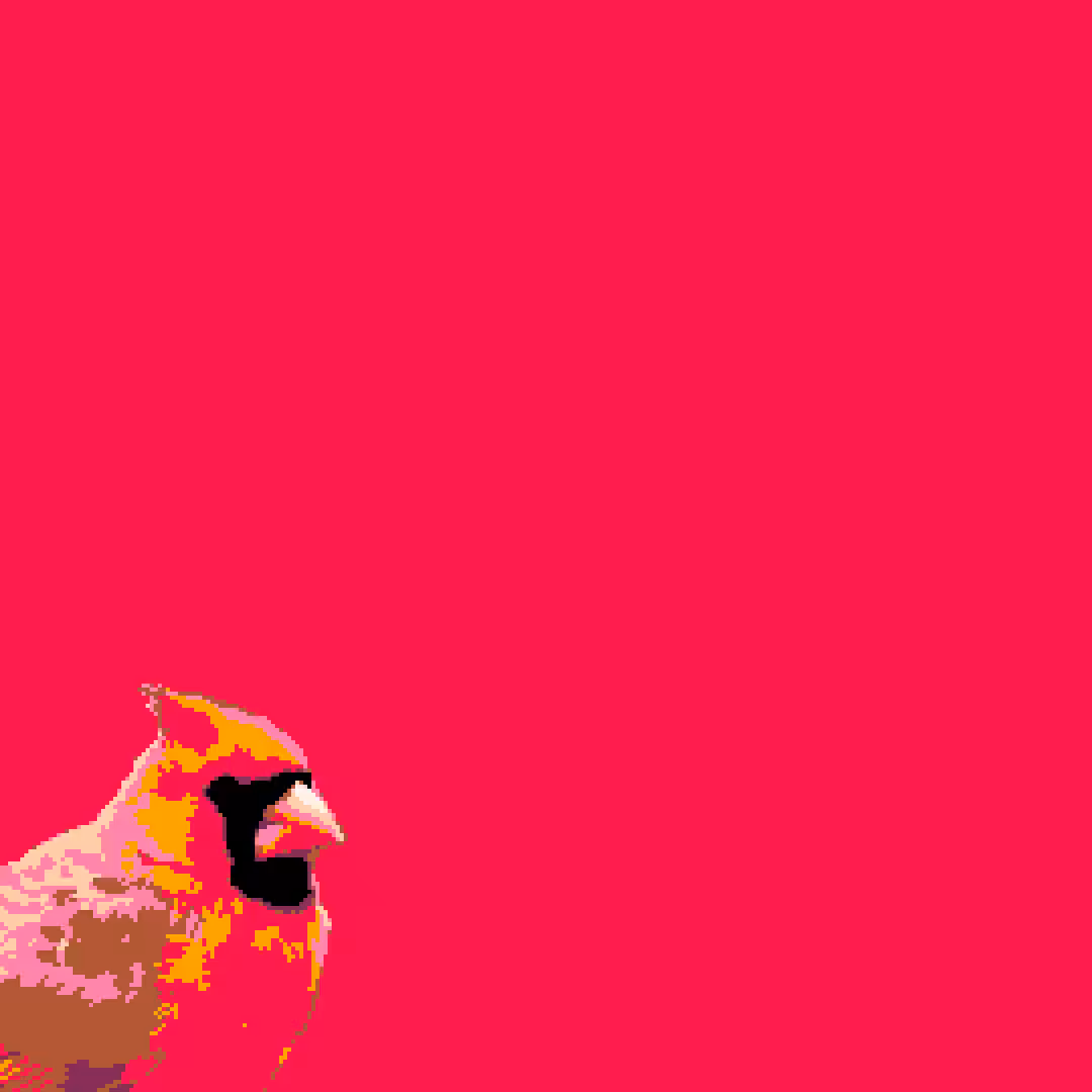 northern cardinal