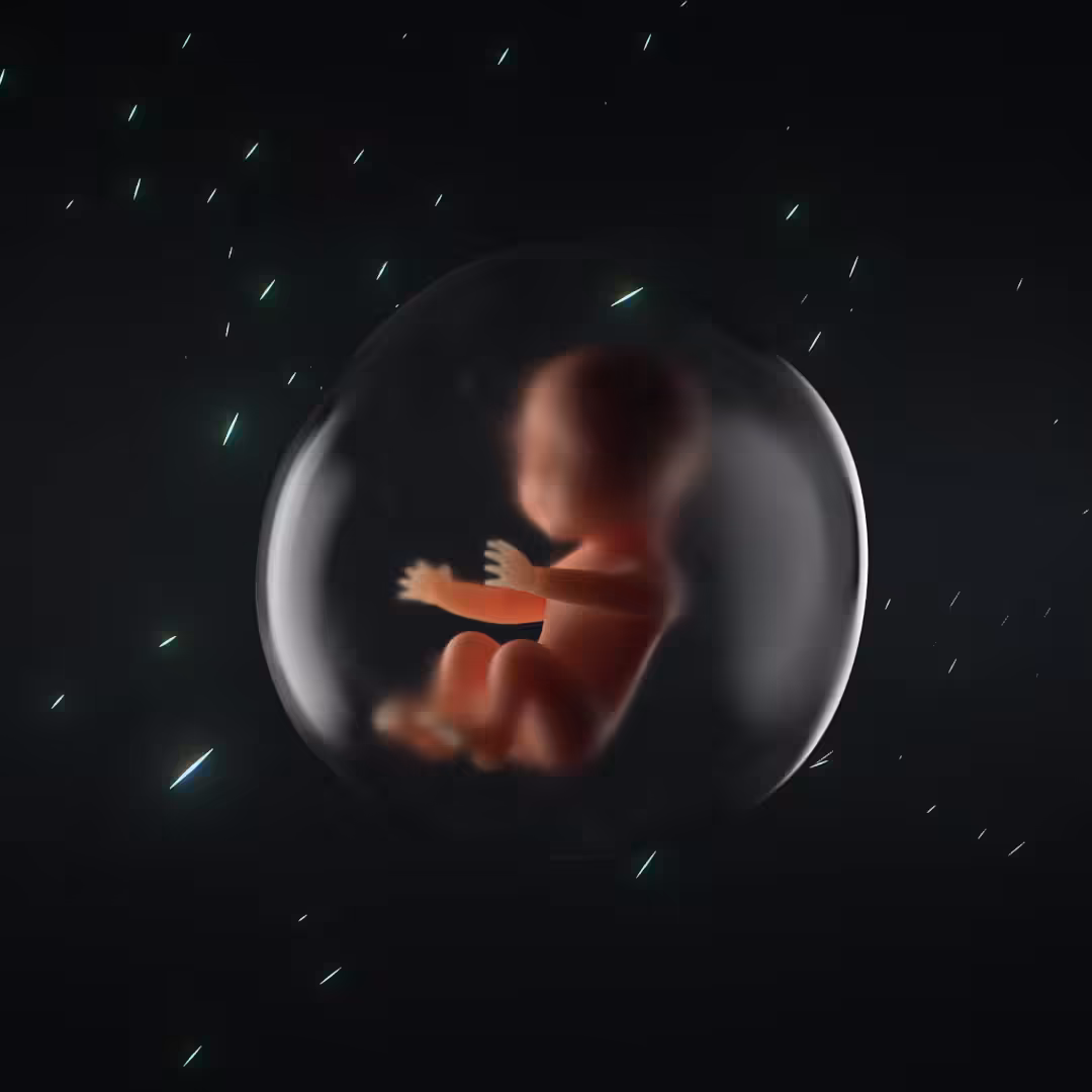dEvolution no.1 // Embryo