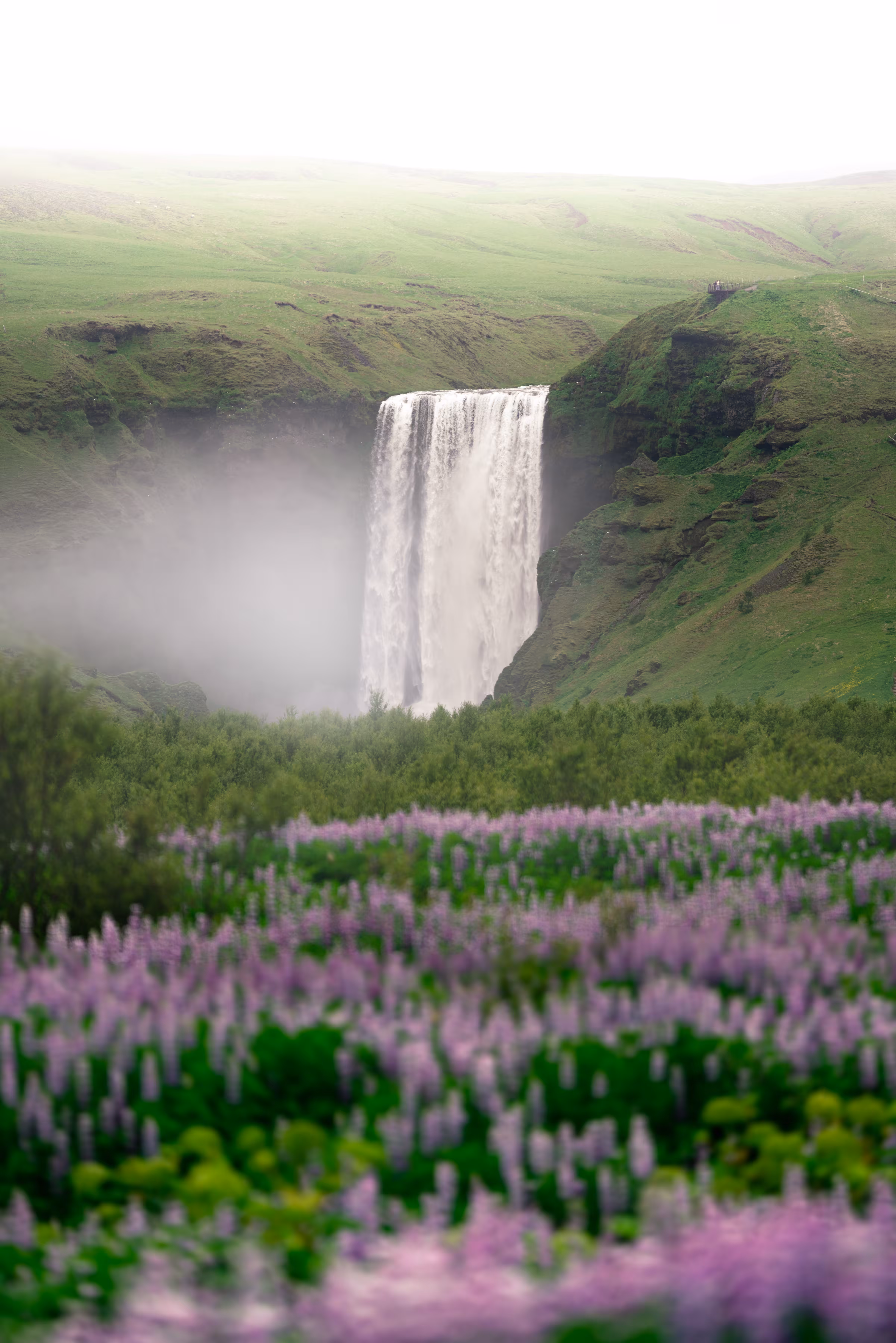 In Love at Skogafoss
