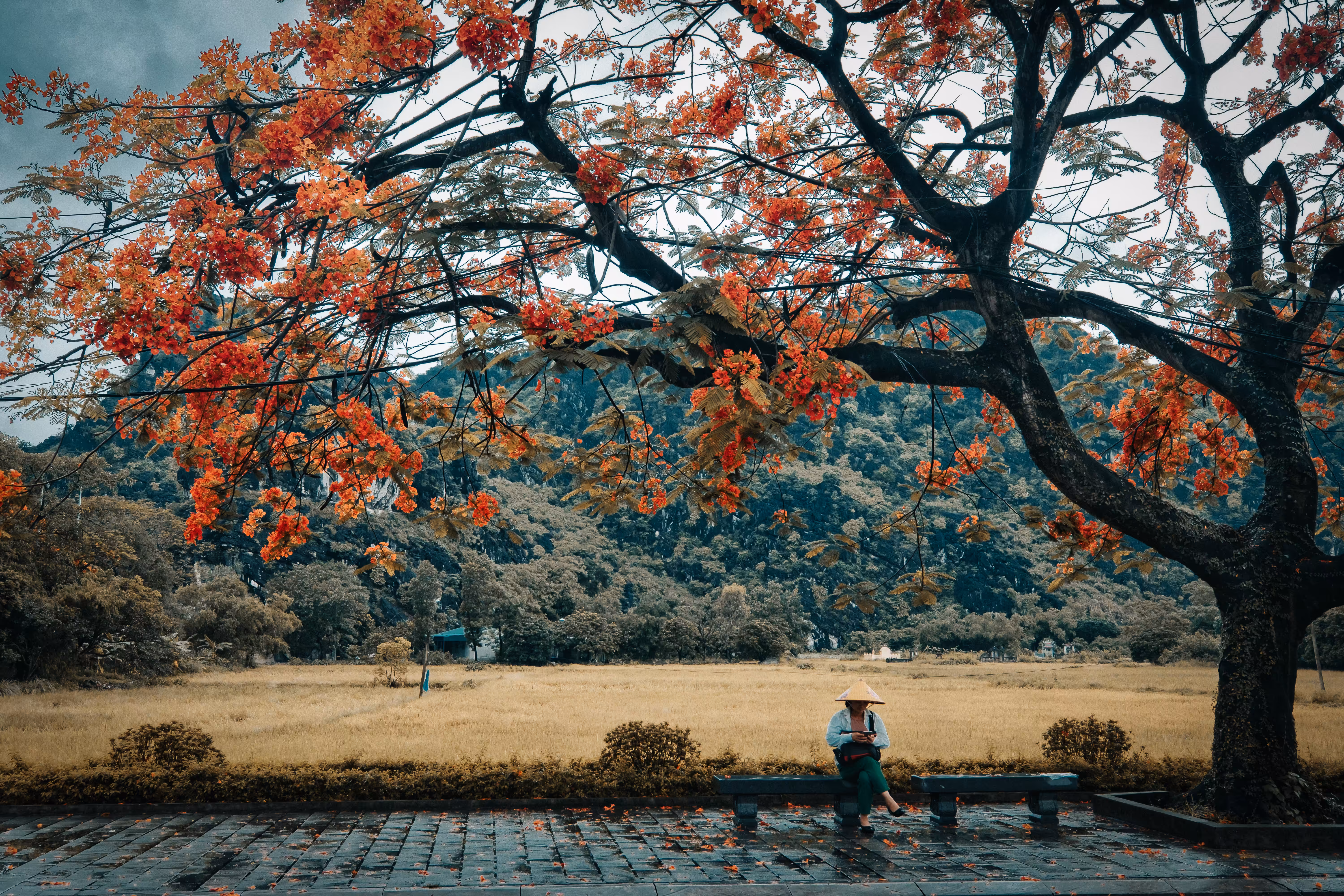 Stillness