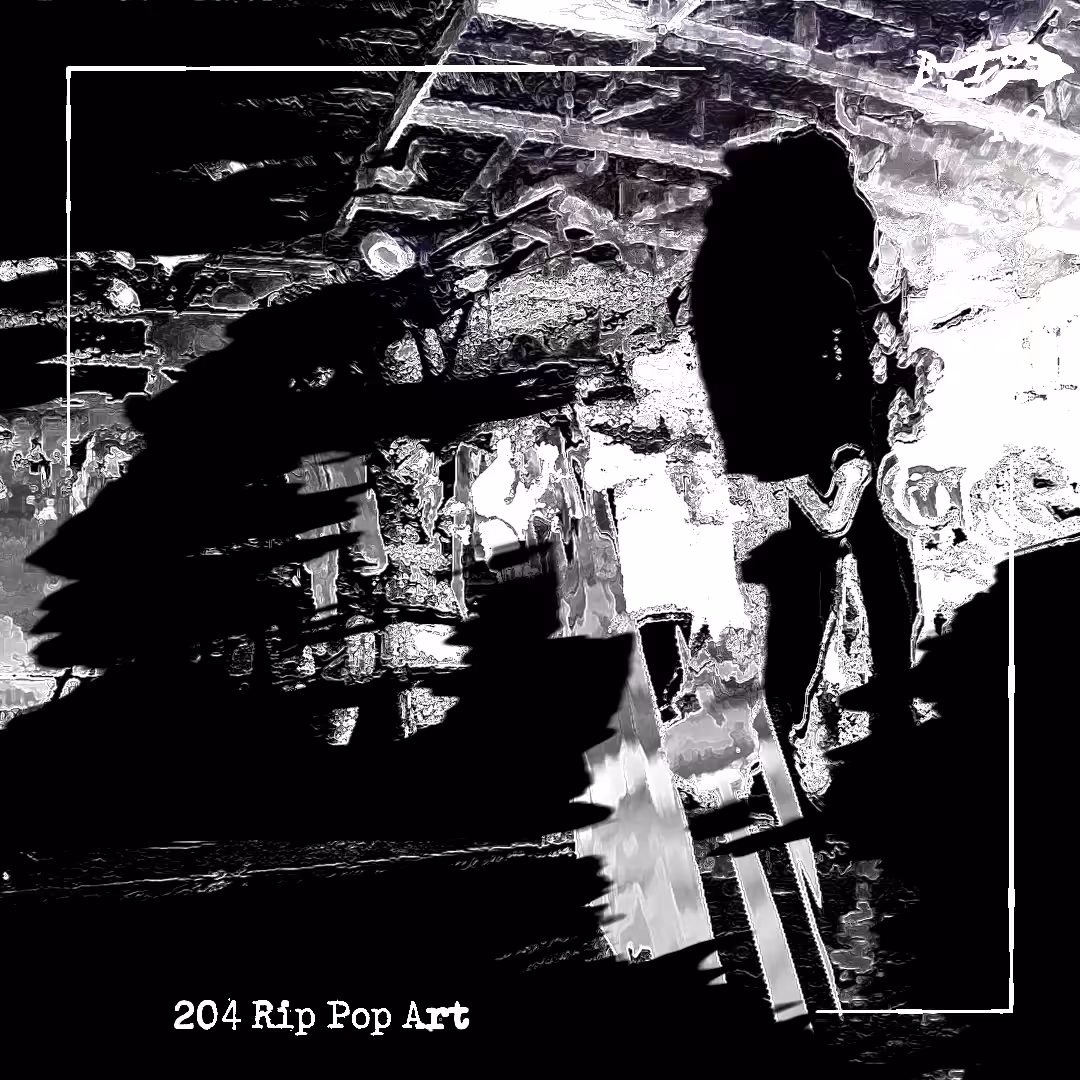 204 Rip Pop Art