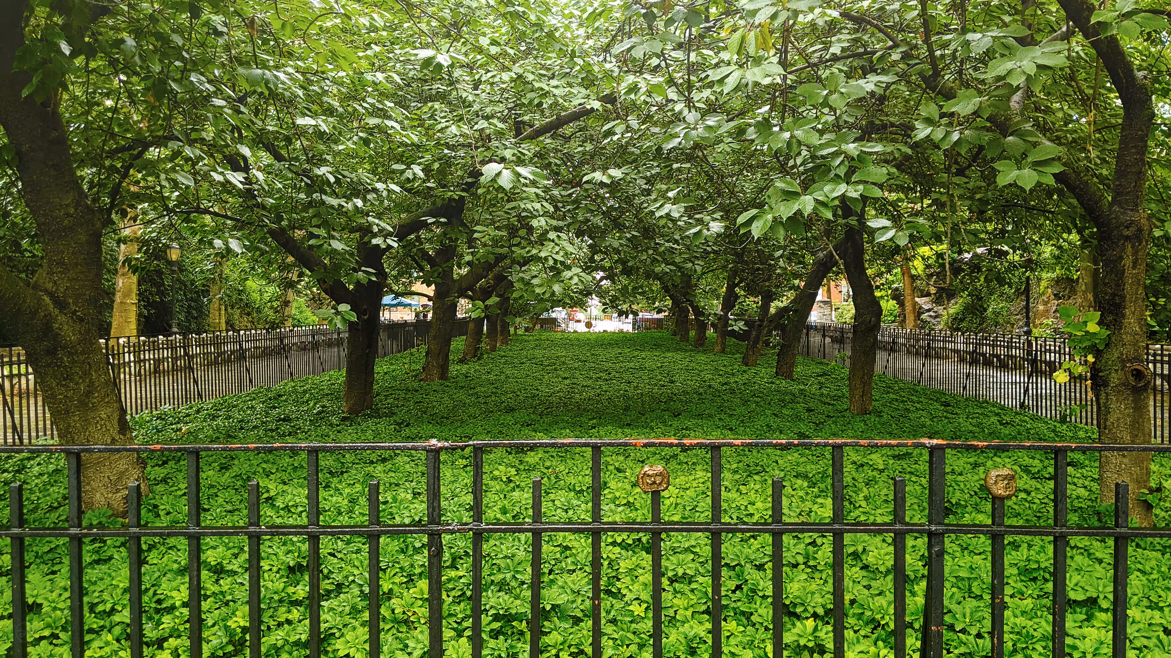 Palace Grounds