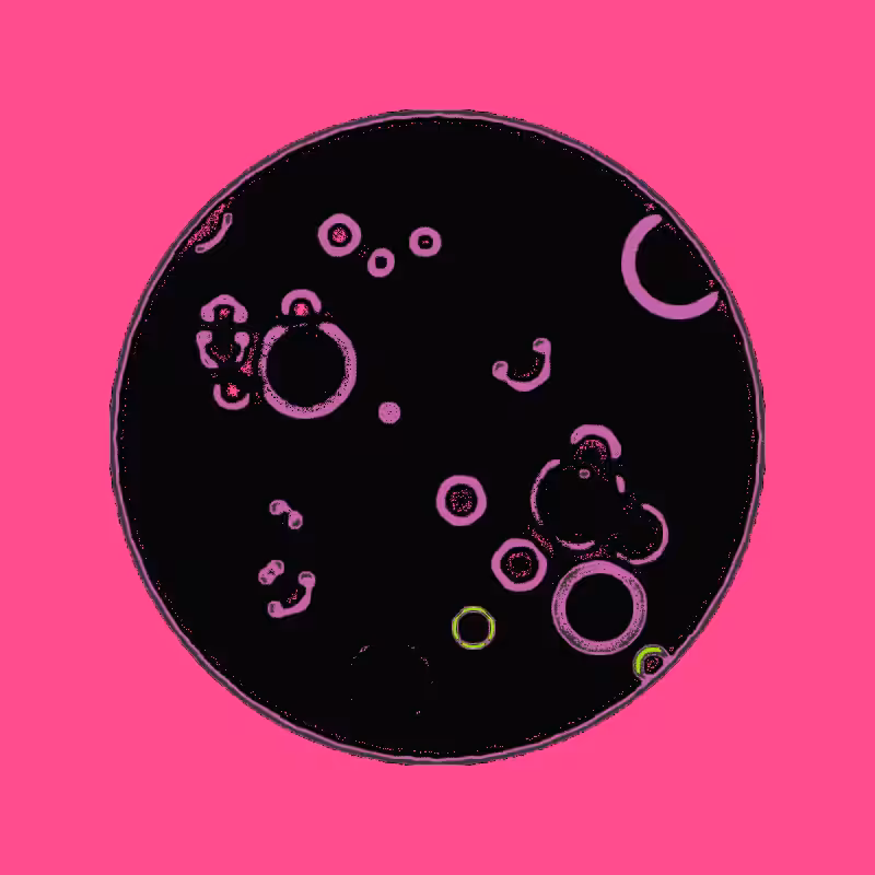 Cheap Petri Dish #50