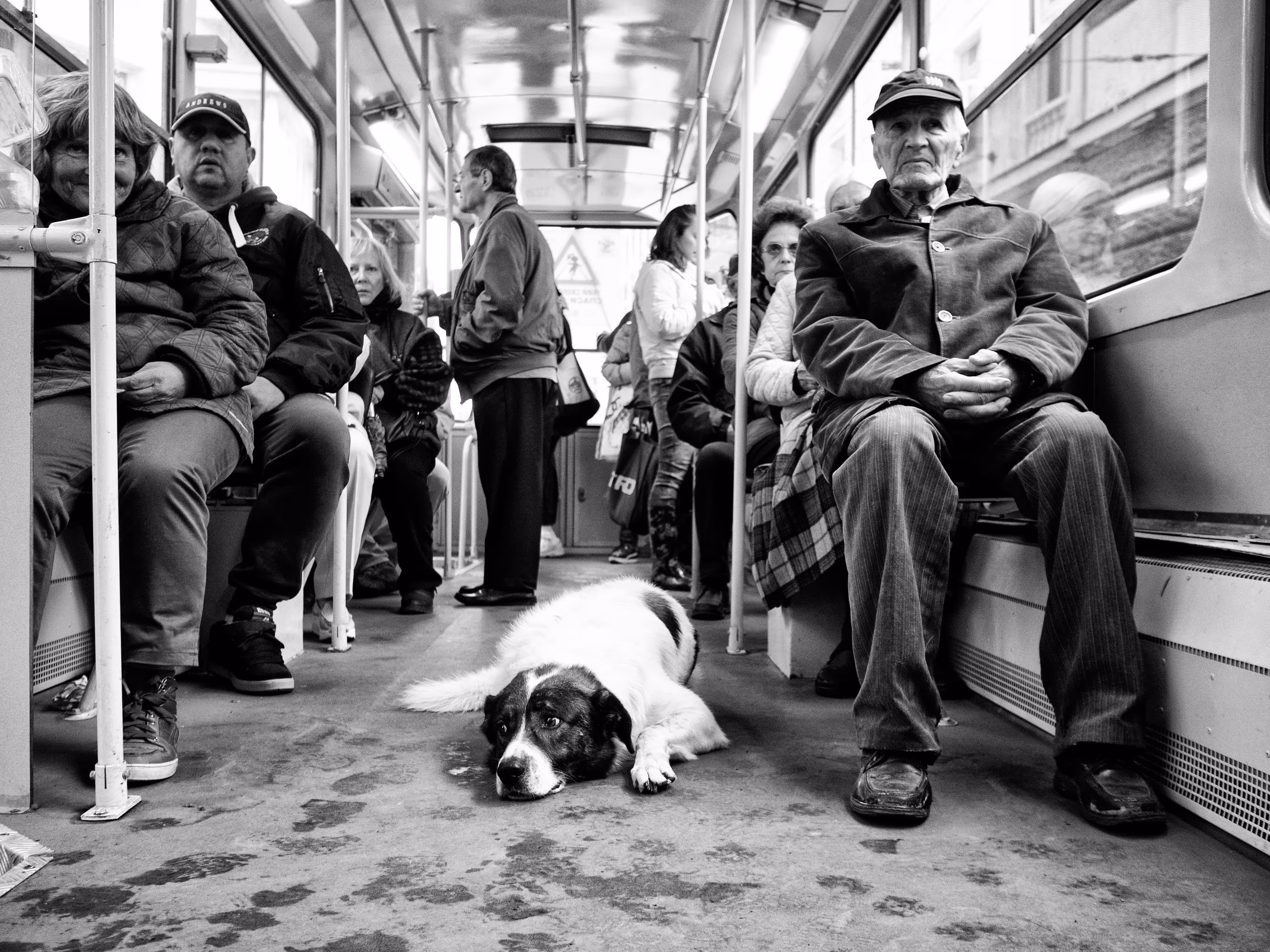 Passenger without a ticket