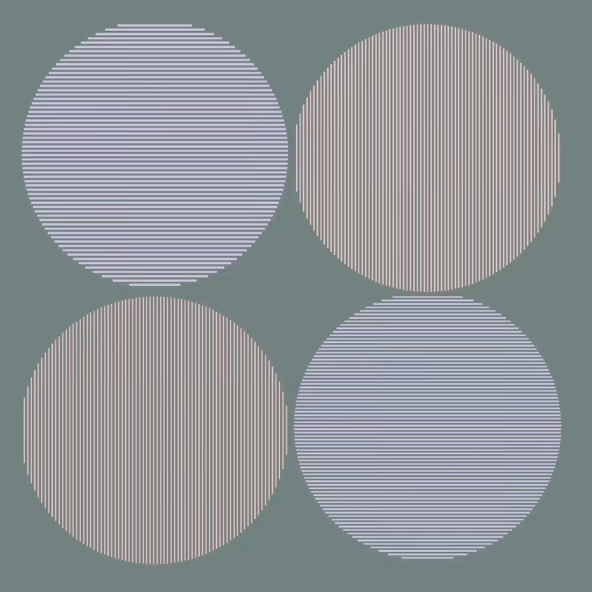 Interference~Emergence~Connection #1