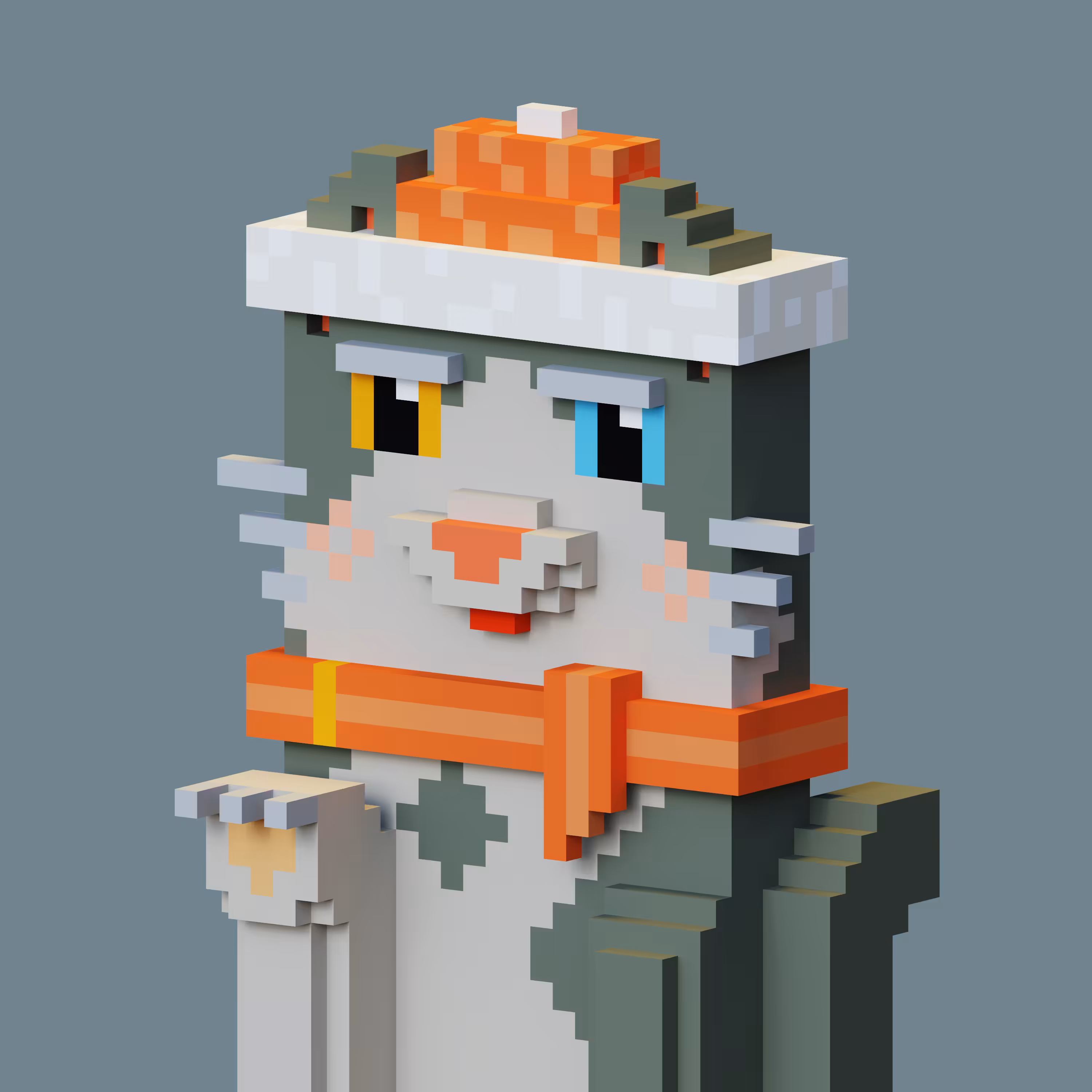 Pets Voxel 23