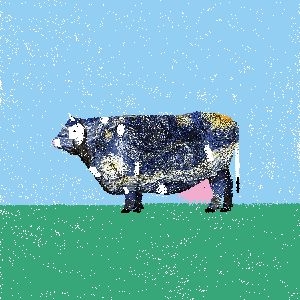 cow #15