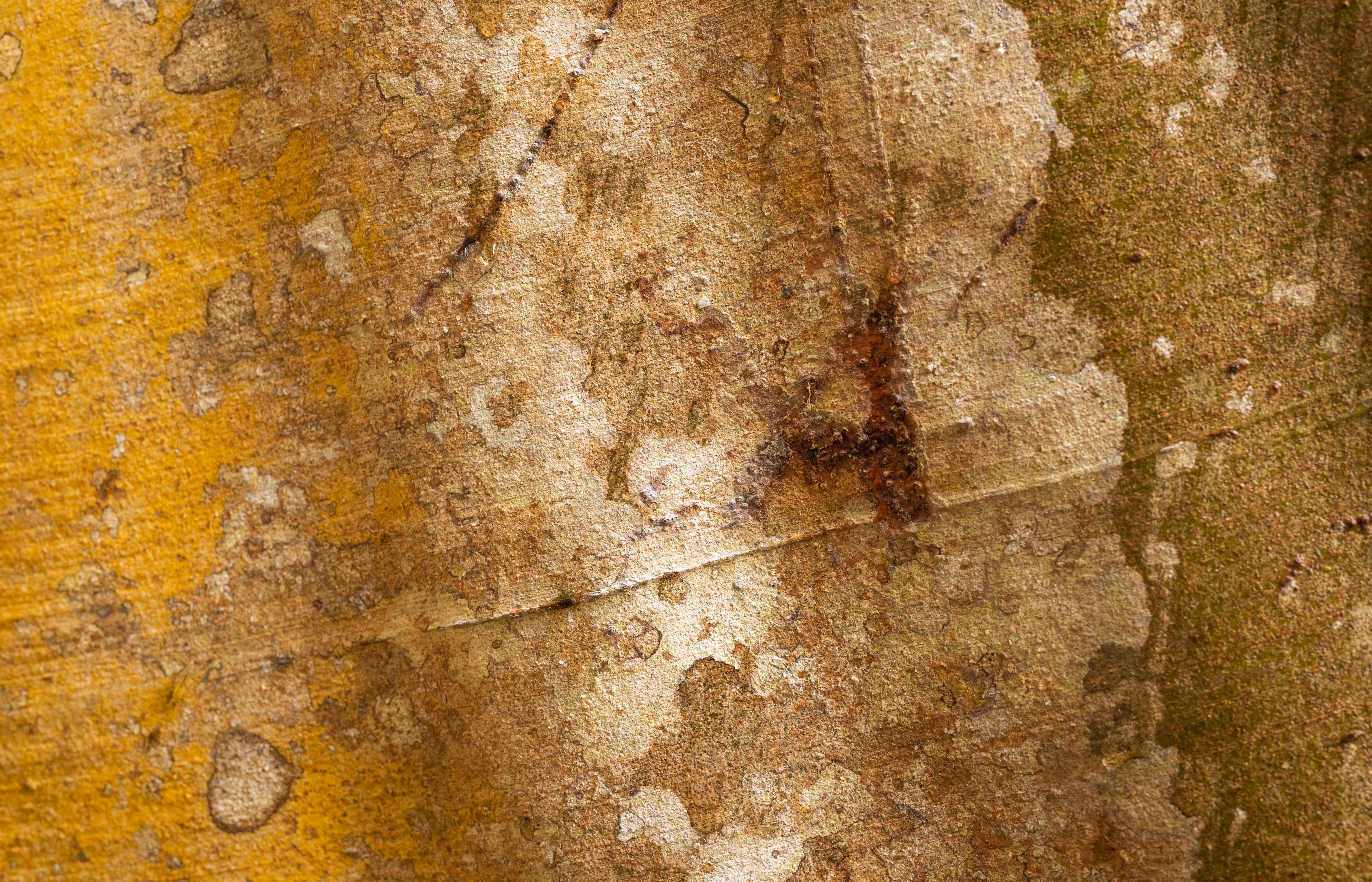 Map Of Dallol