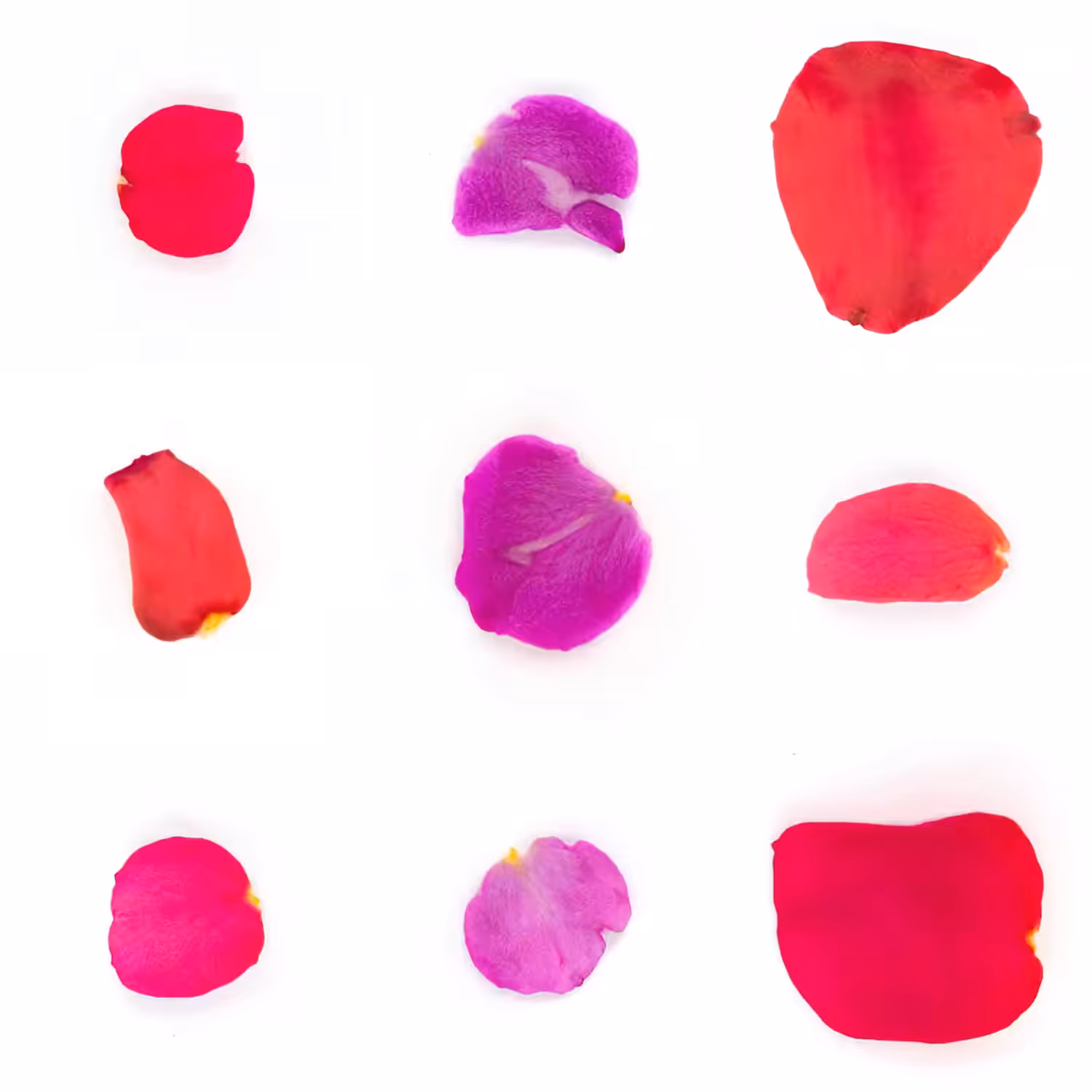 Infinite Petals 3x3#1852