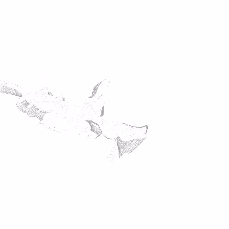 traces #35