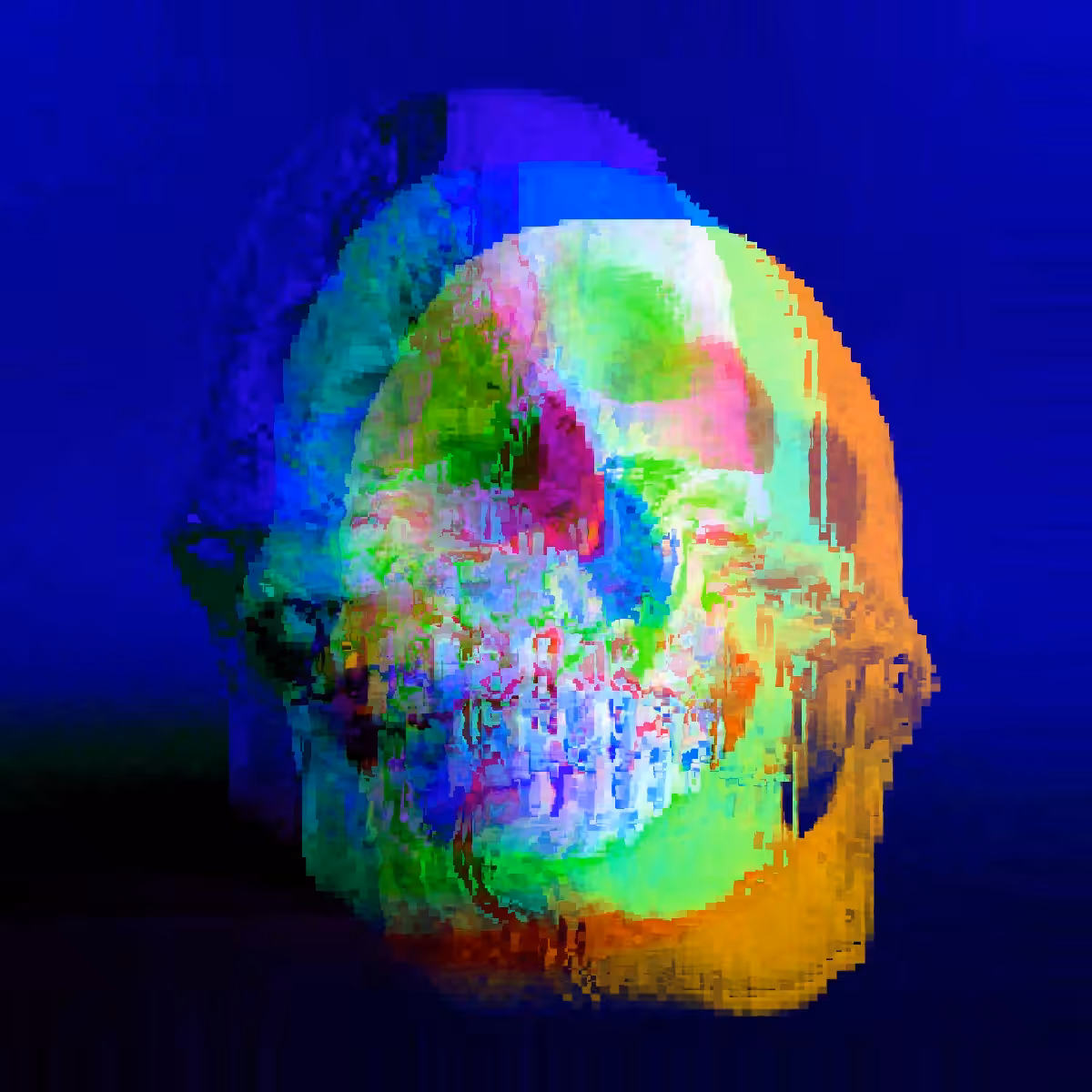 Photomoshed Skulls