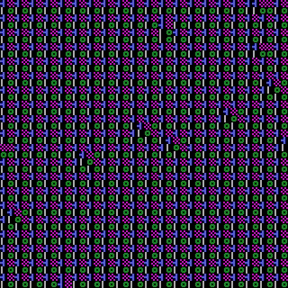CGA Safari #238