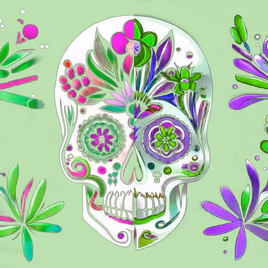 The skulls in love #4
