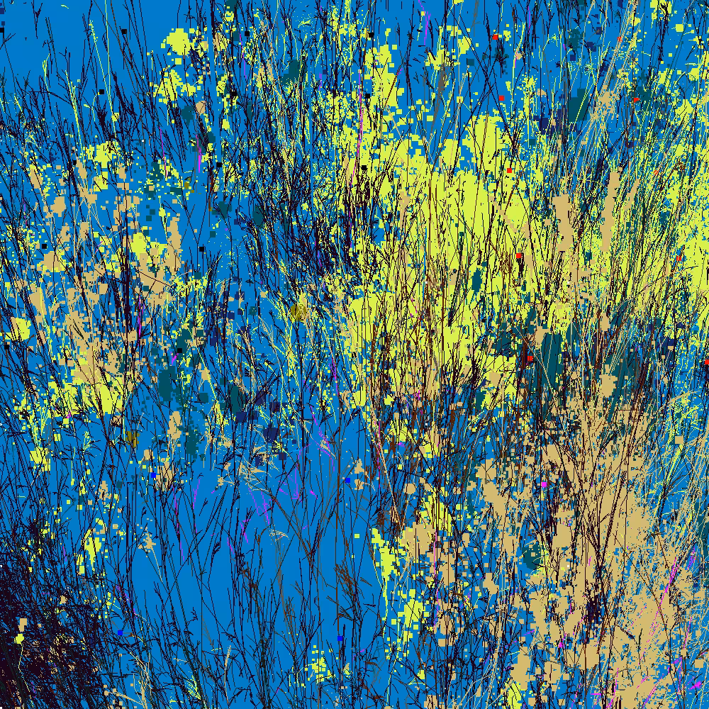 Infinite Garden: 79881 Flowers