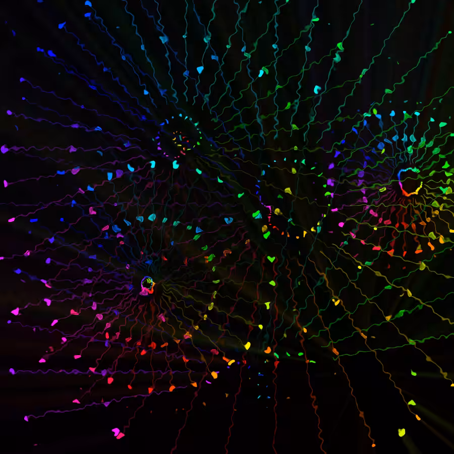 fx(rings/dots) #16