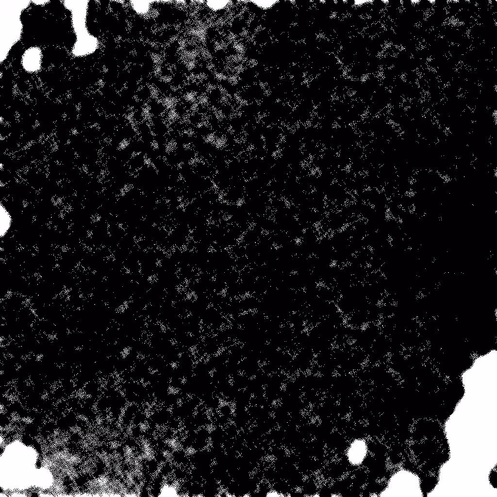 Noise #465 