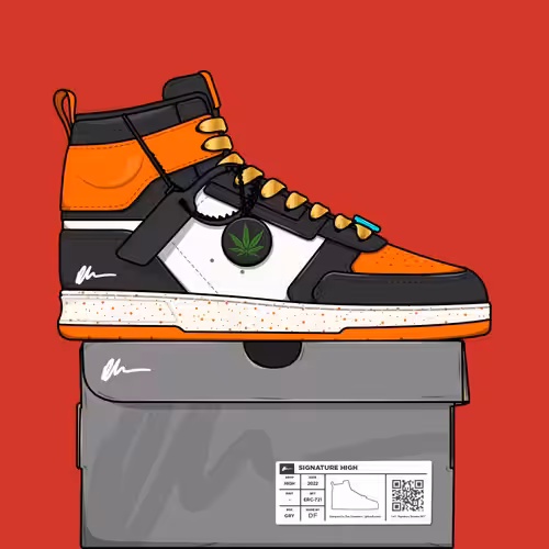 Signature Sneakers Highs #834