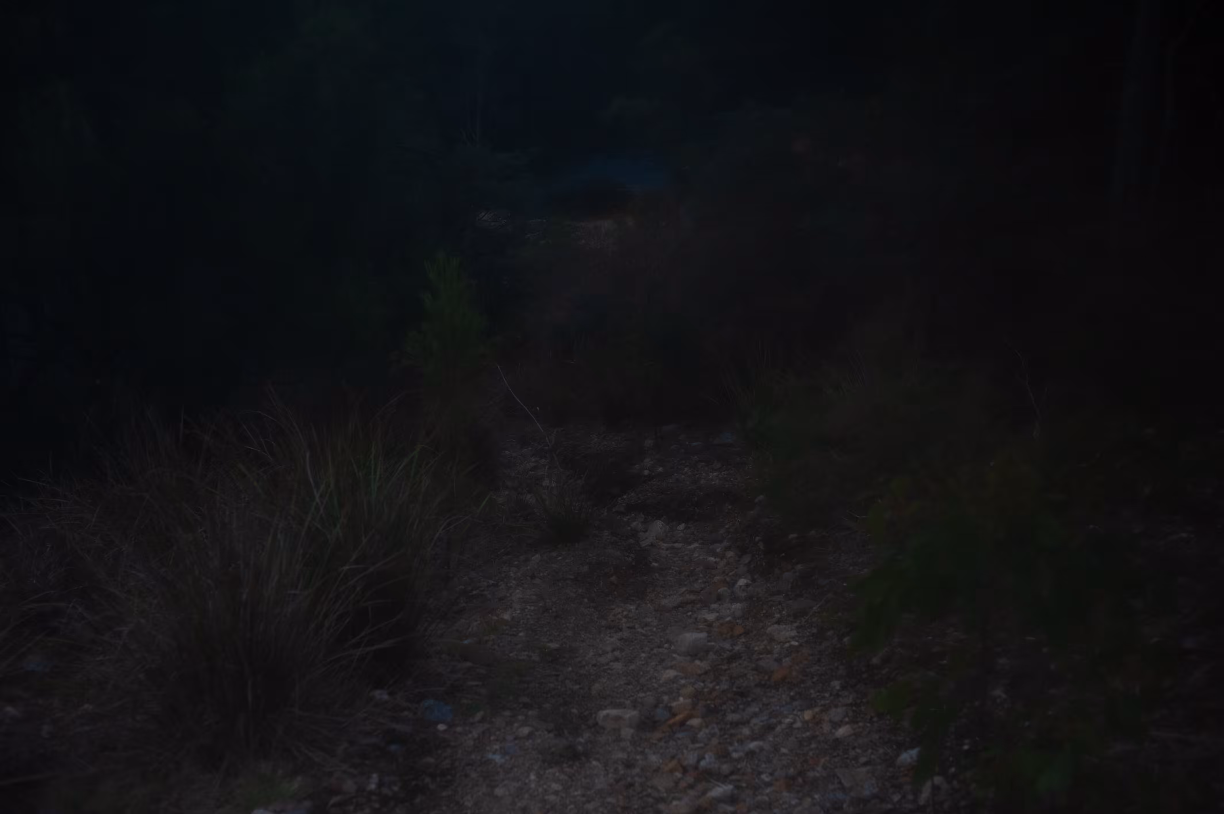 Day12- into the darkness