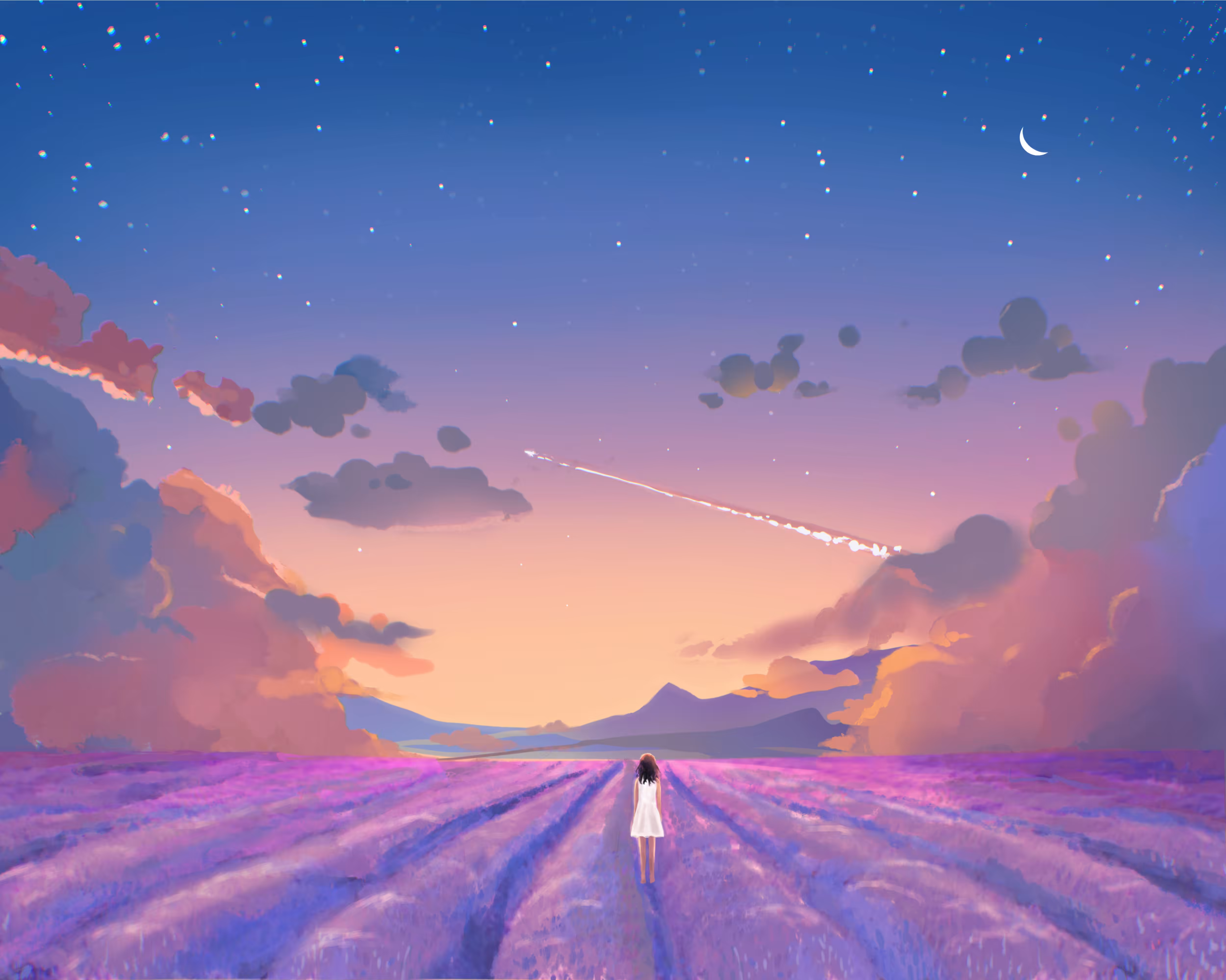 Lavender dream