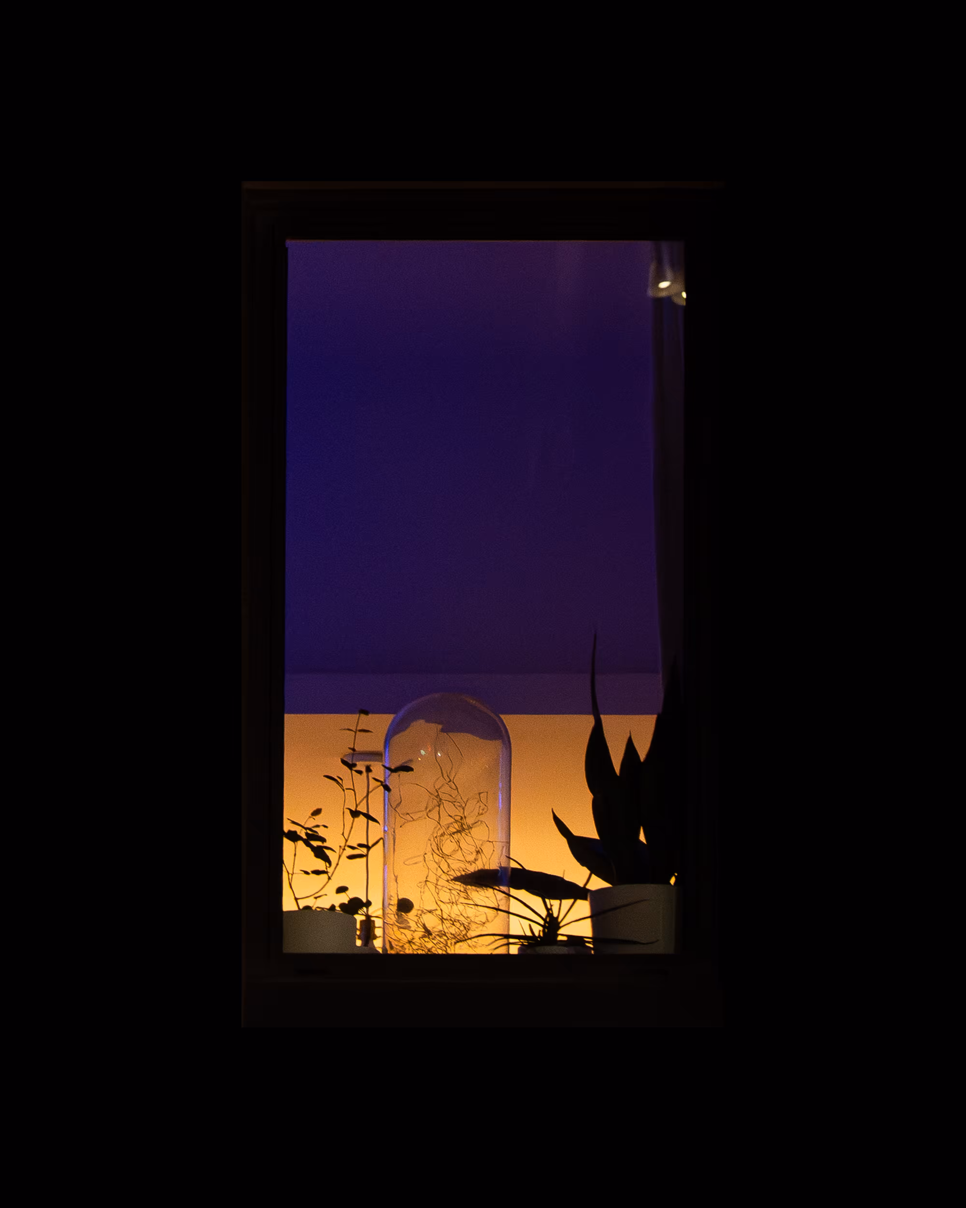 WINDOW 356