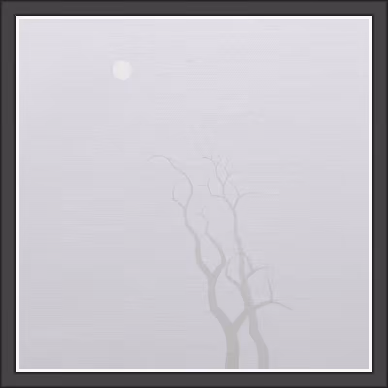 The Foggy Trees #76