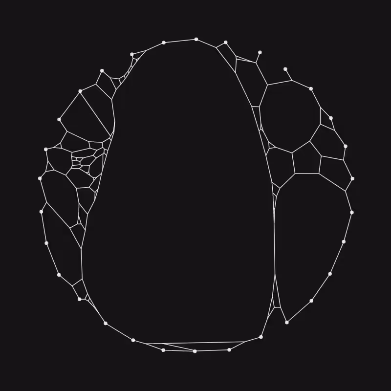 Elastic Web #50