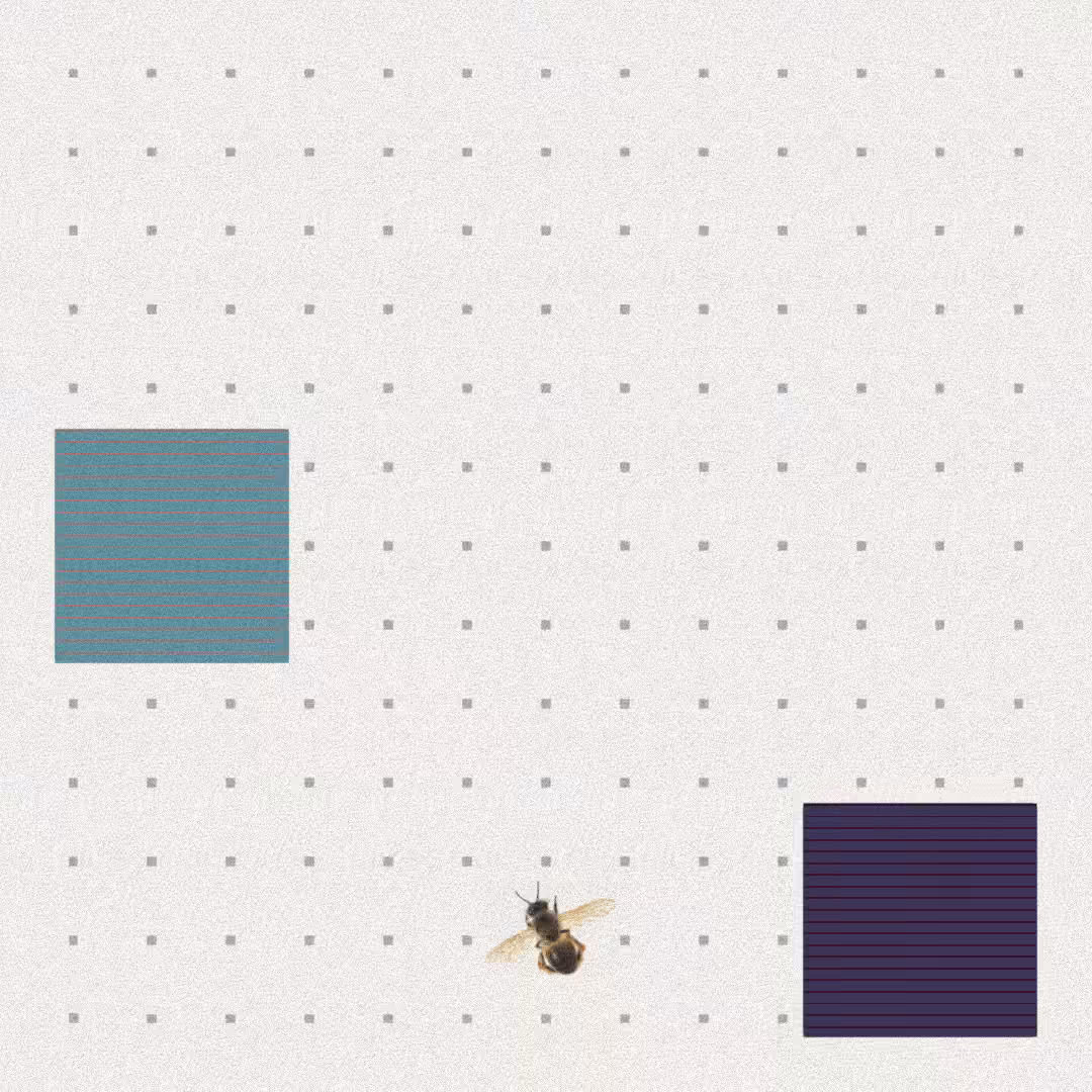 Bee #70