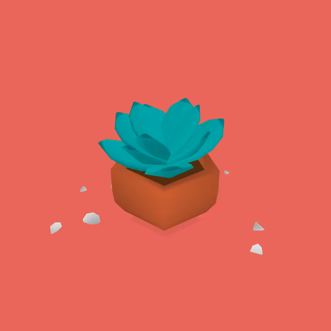 SUKULENTS #11
