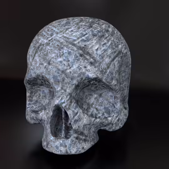 SkullZ #224