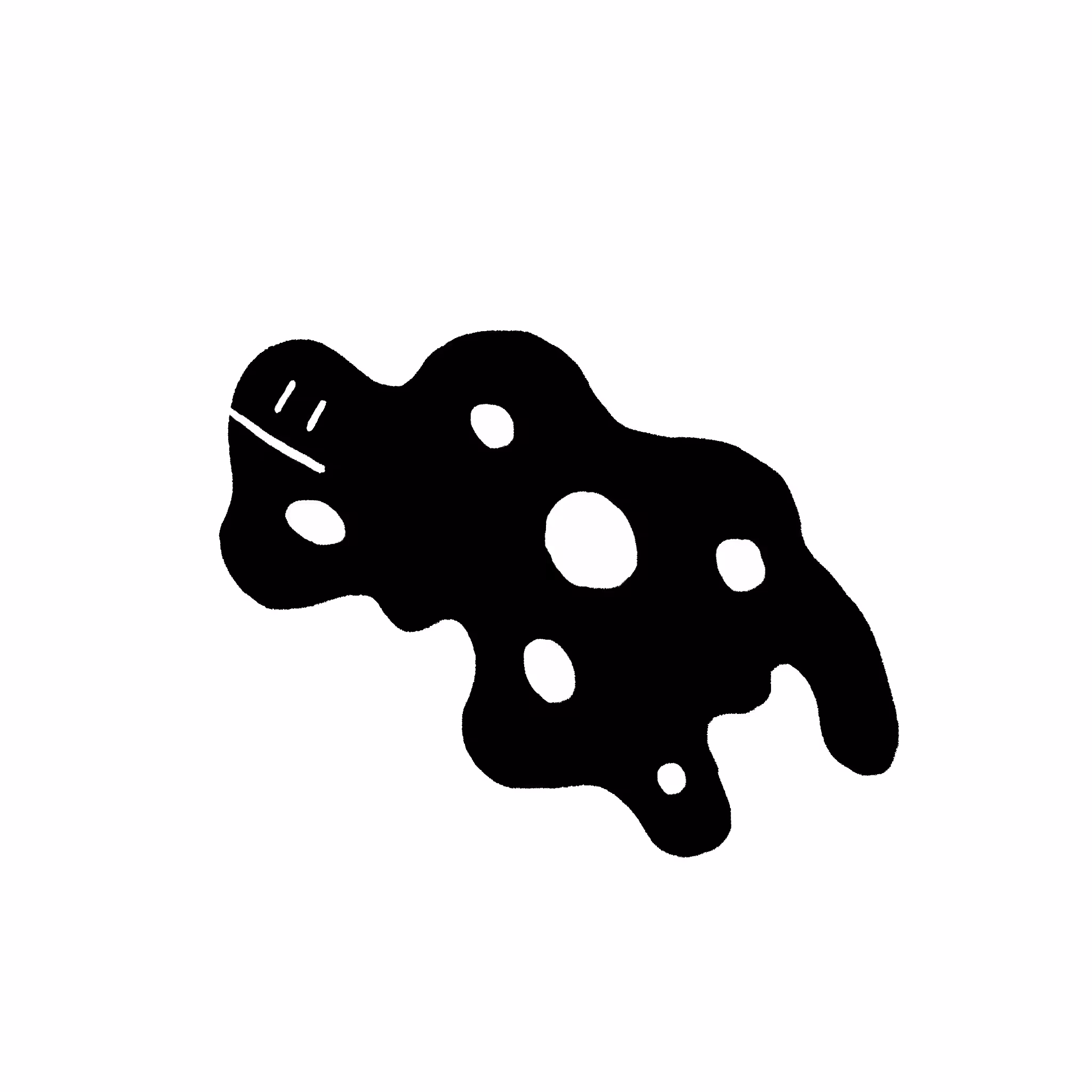 Amoeba