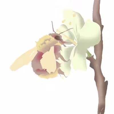 Honey Bee