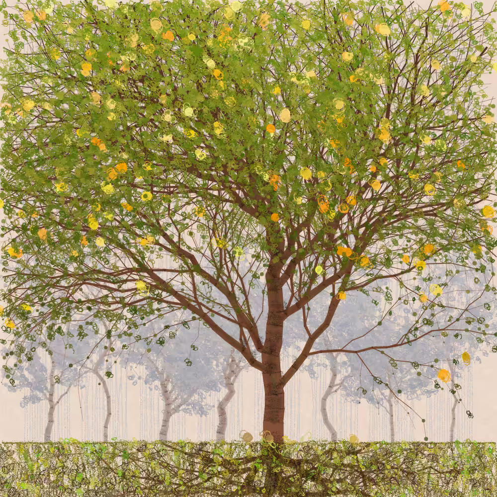 Orchard #264