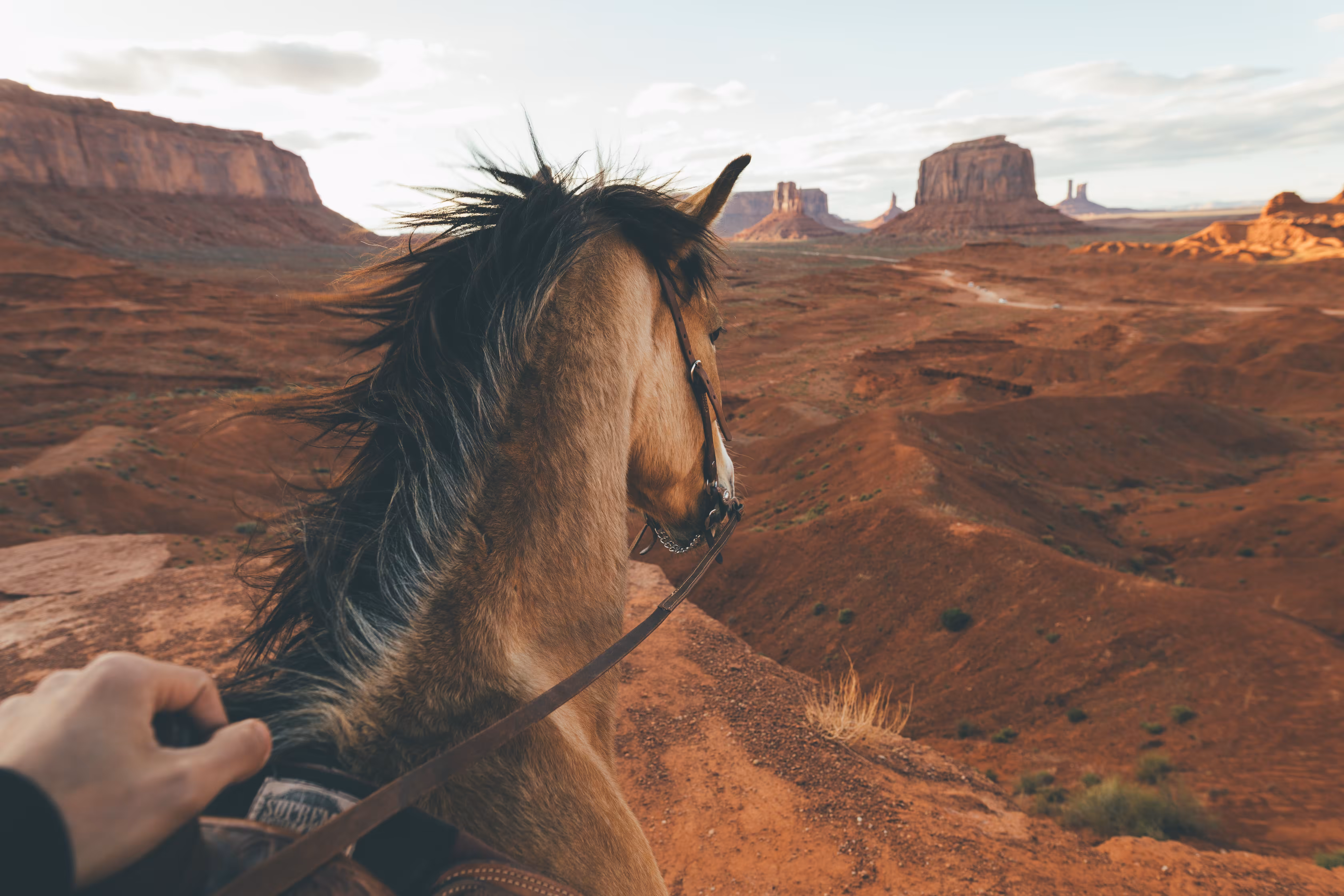 Wild West 