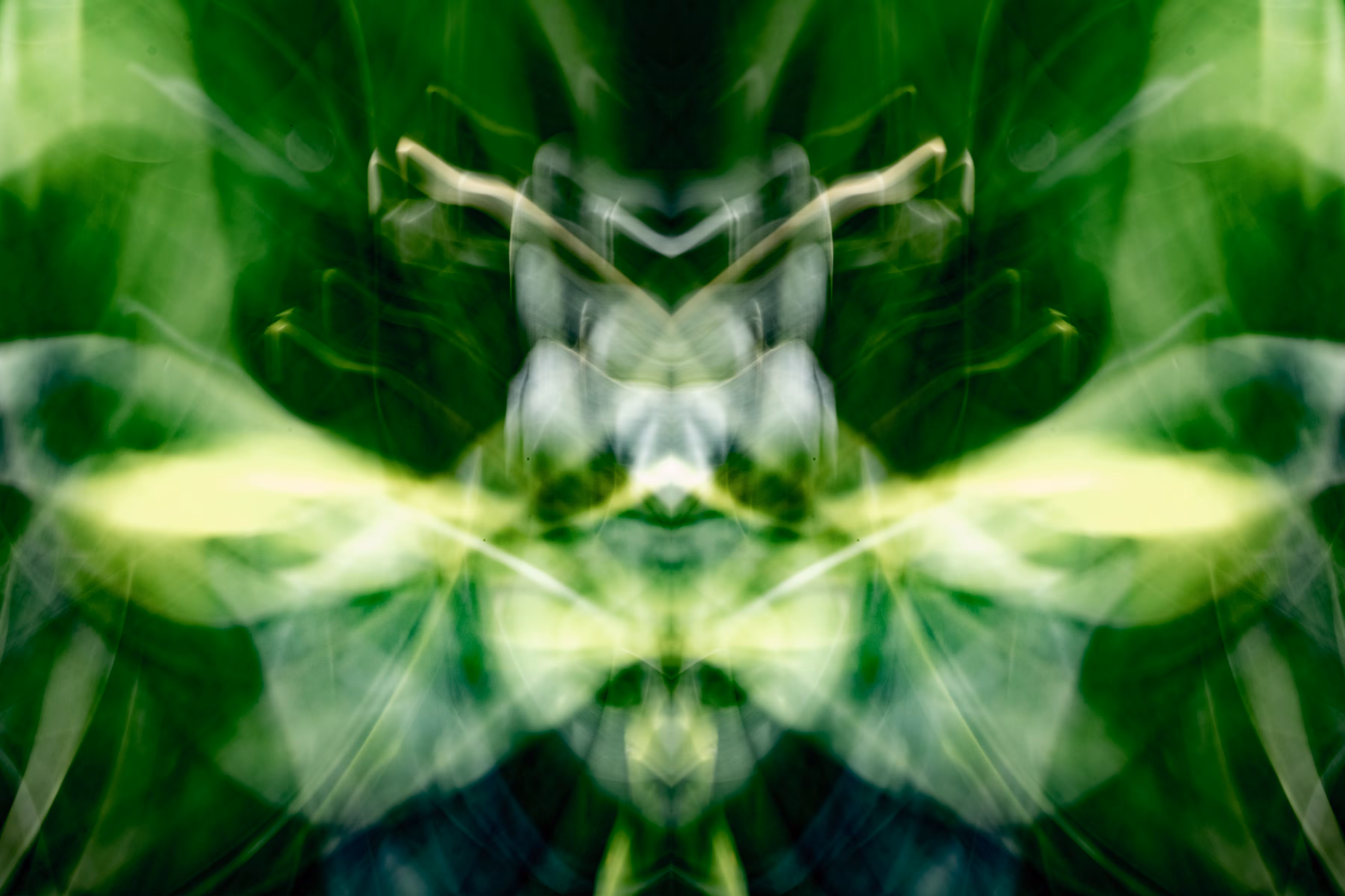 Rorschach #163