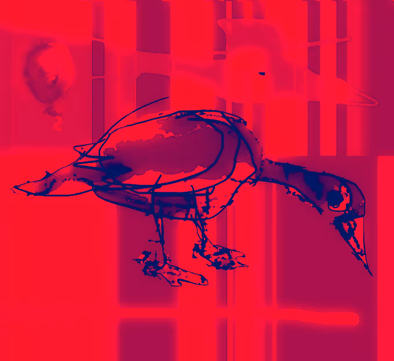 Graffiti DUX rouge - aka Duck