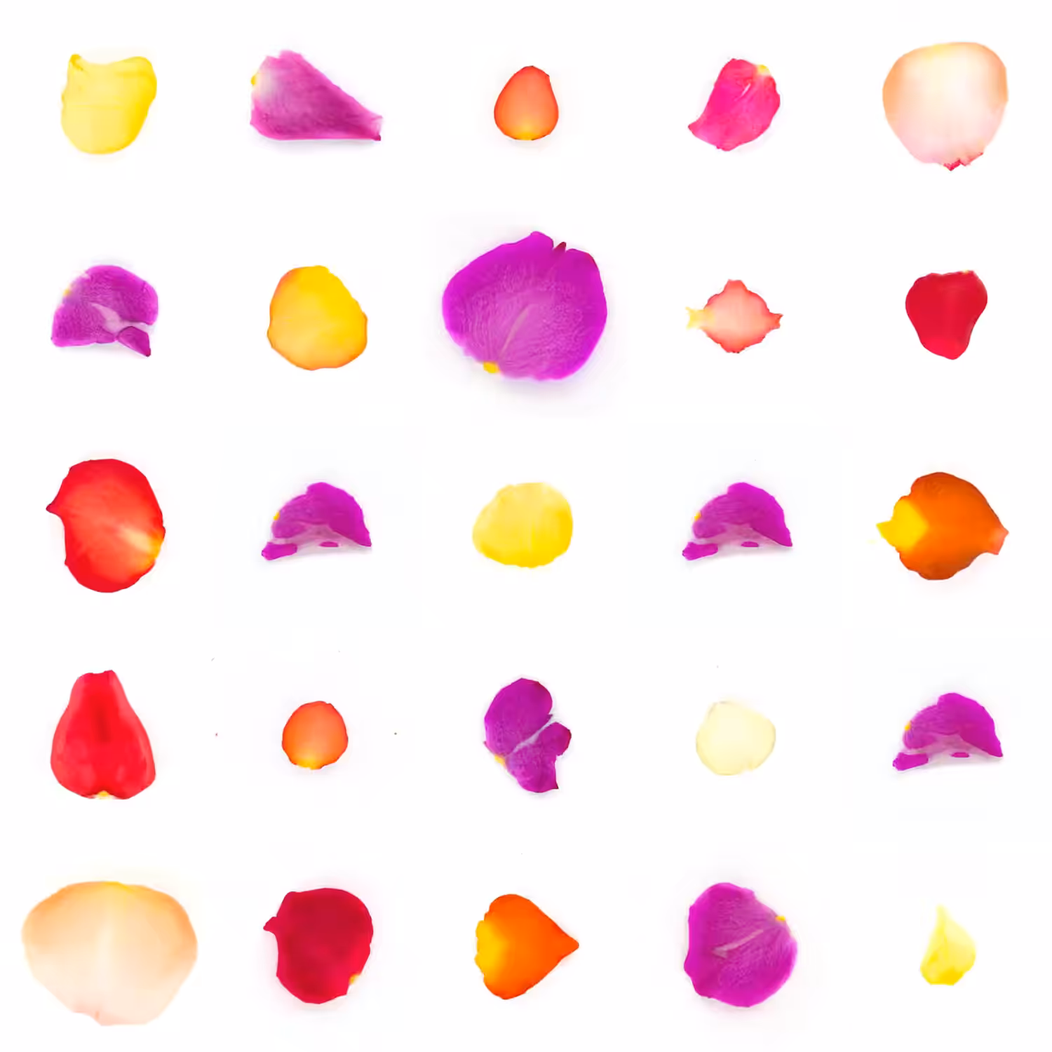 Infinite Petals 5x5#111