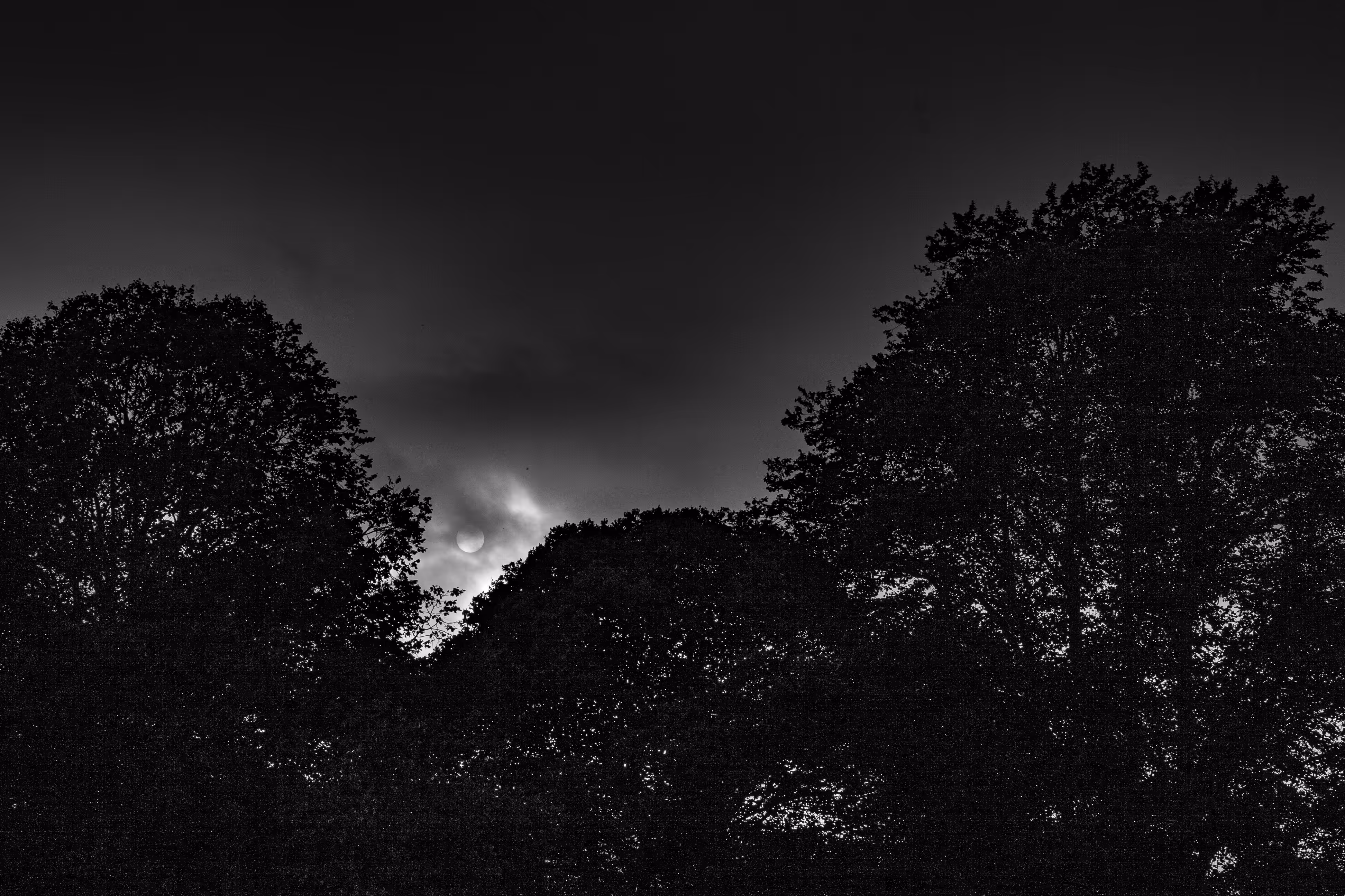 Cotham Gardens