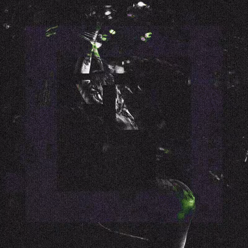 In the forest #16