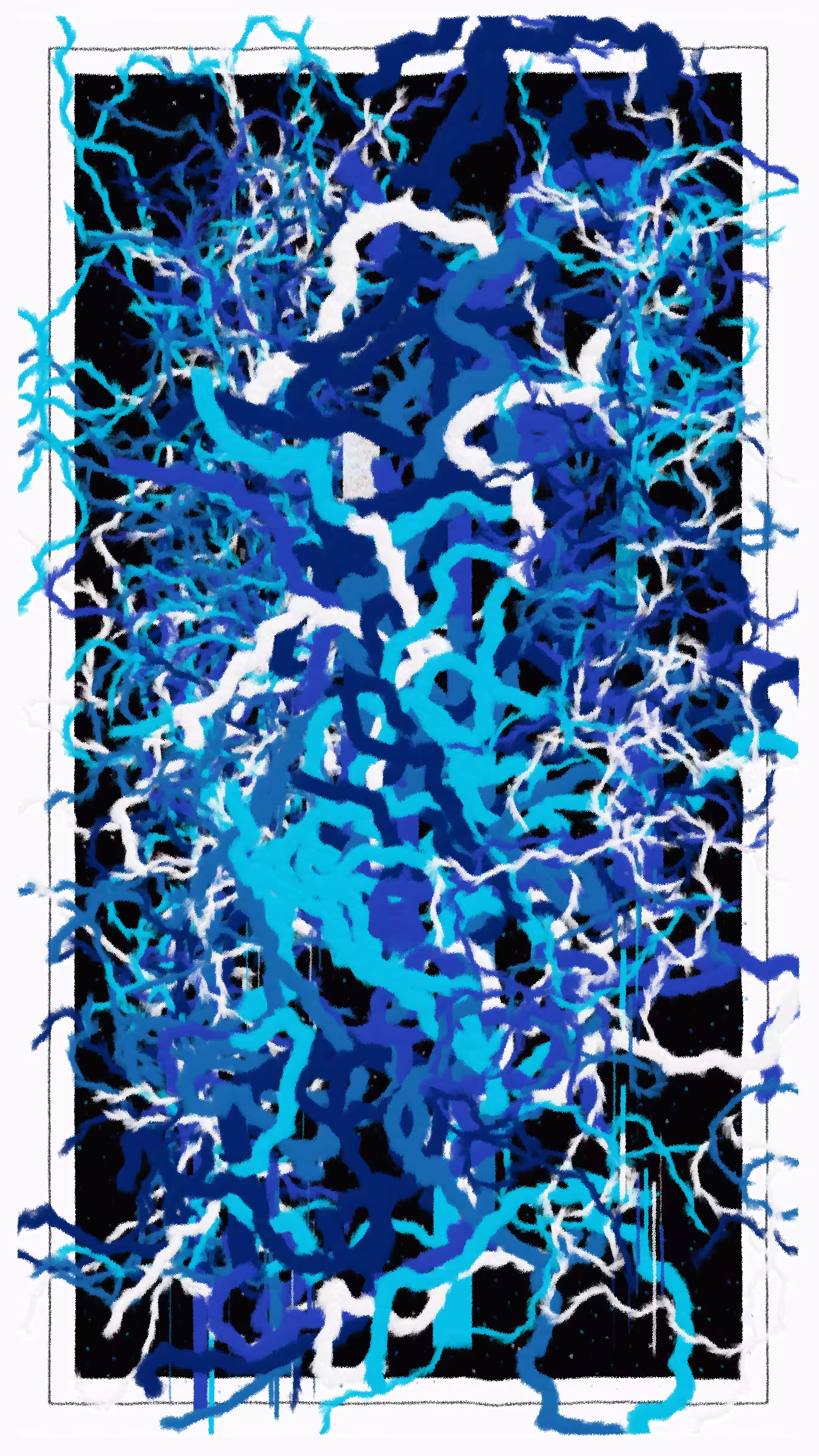 aaa #48