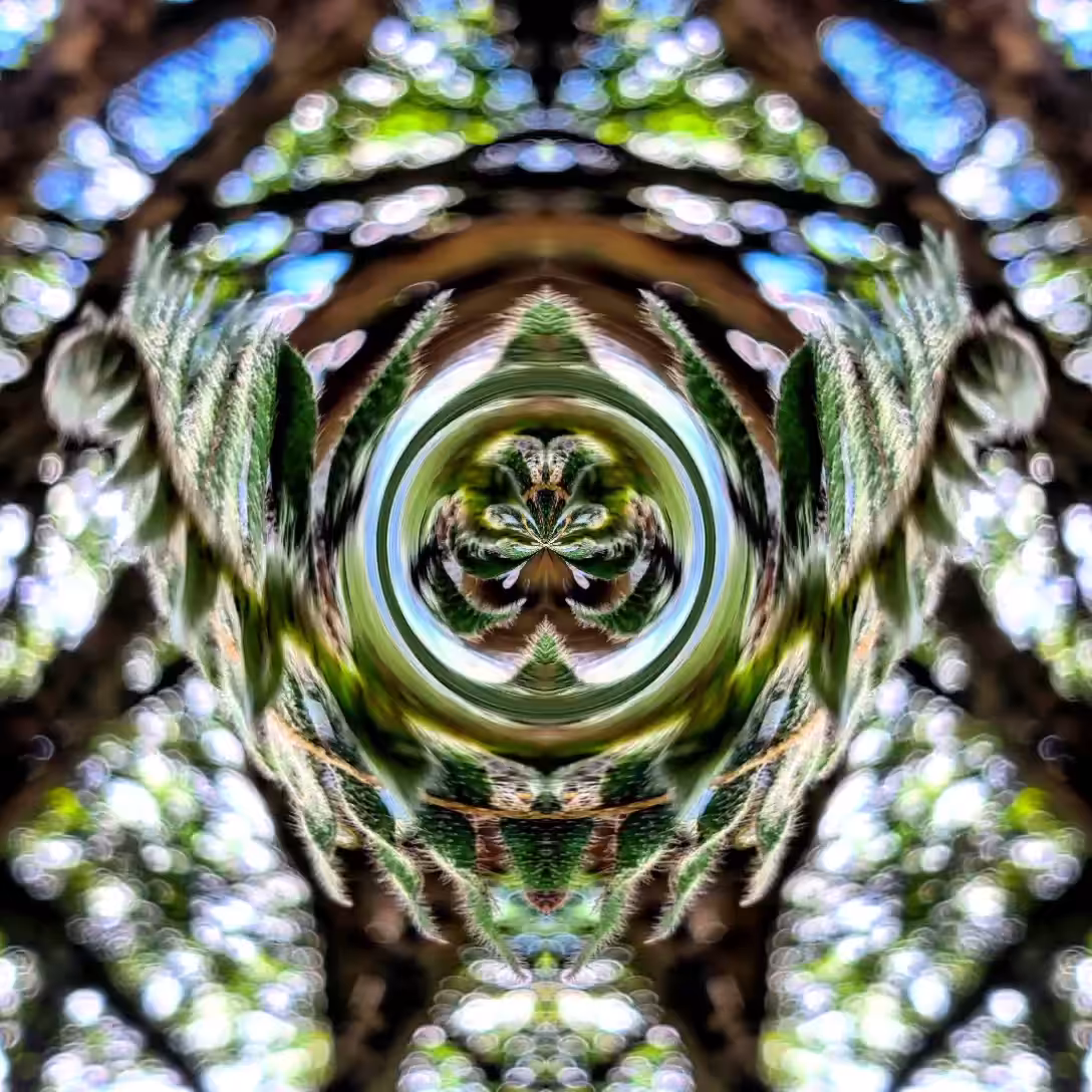 <_Smile_>