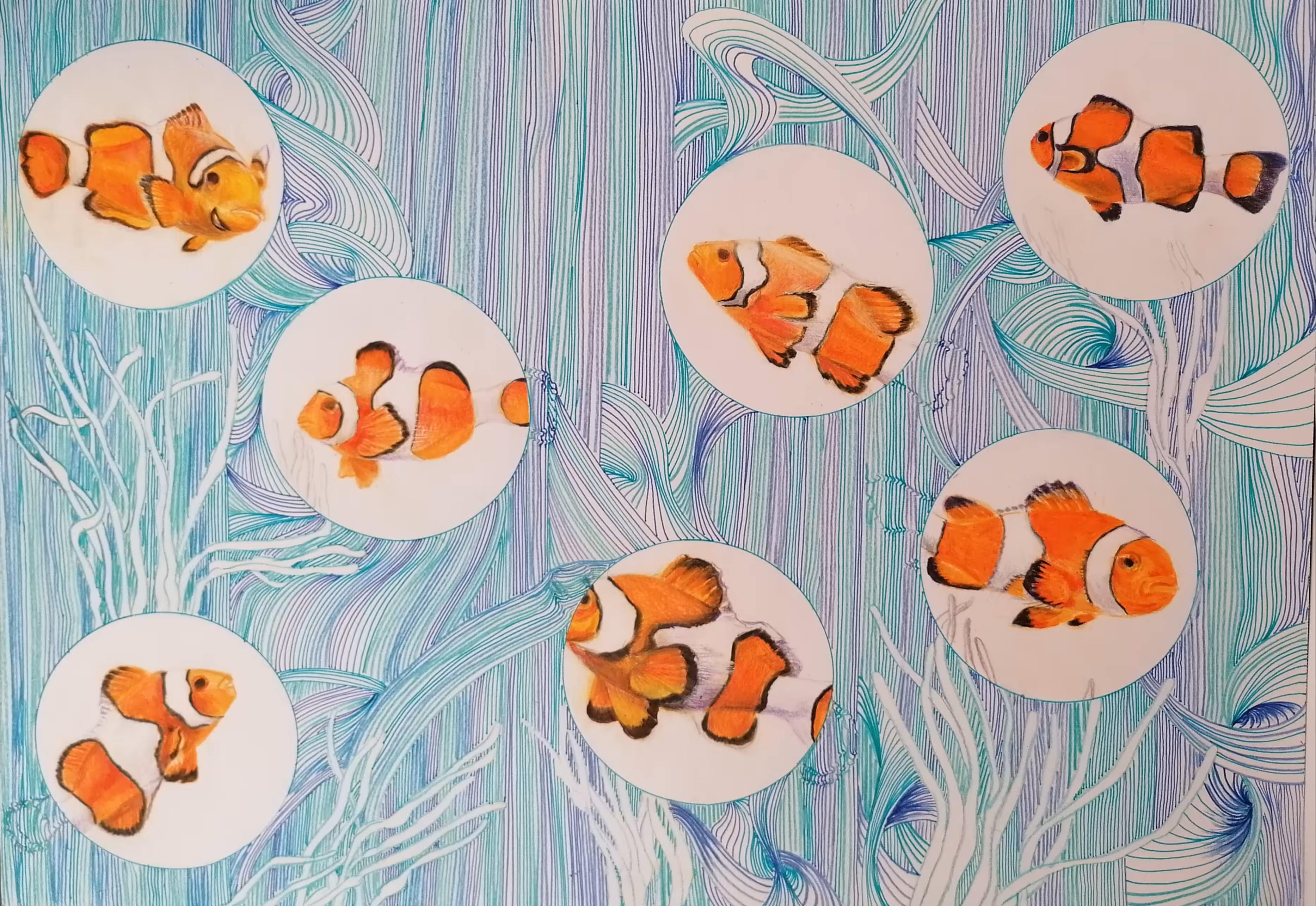 My Clownfishs in the Sea Currents
