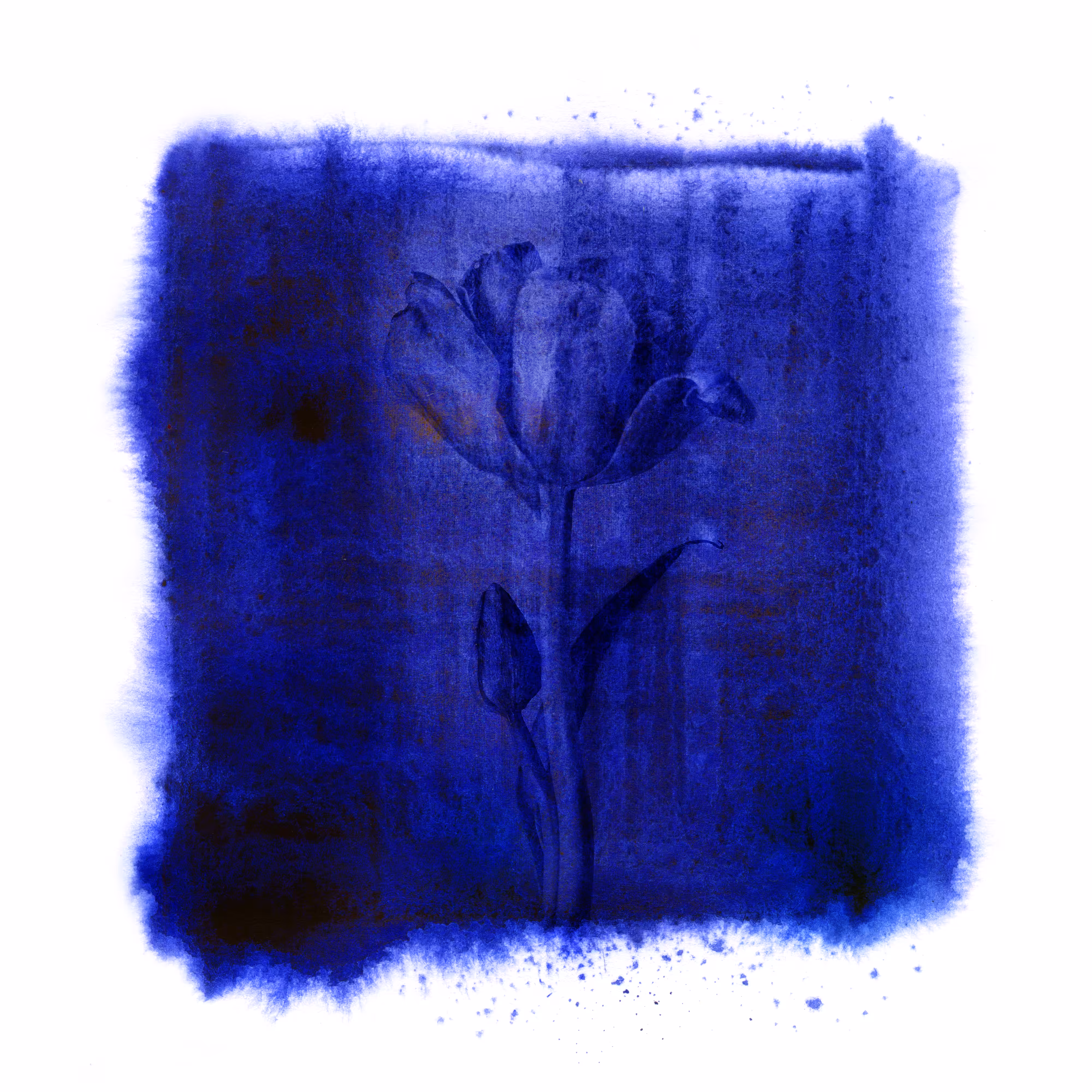 Blues garden #14
