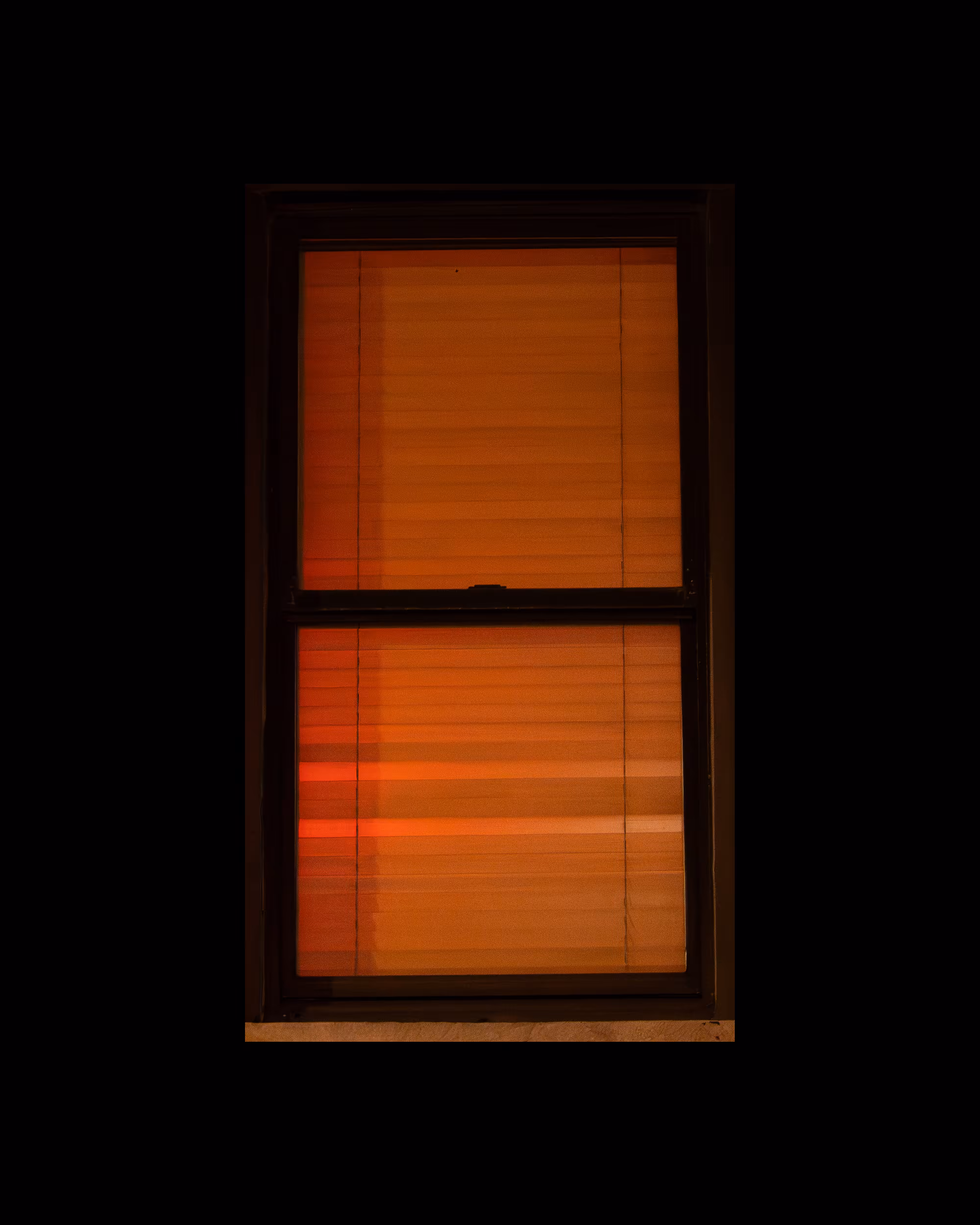 WINDOWS // NYC: WINDOW 649