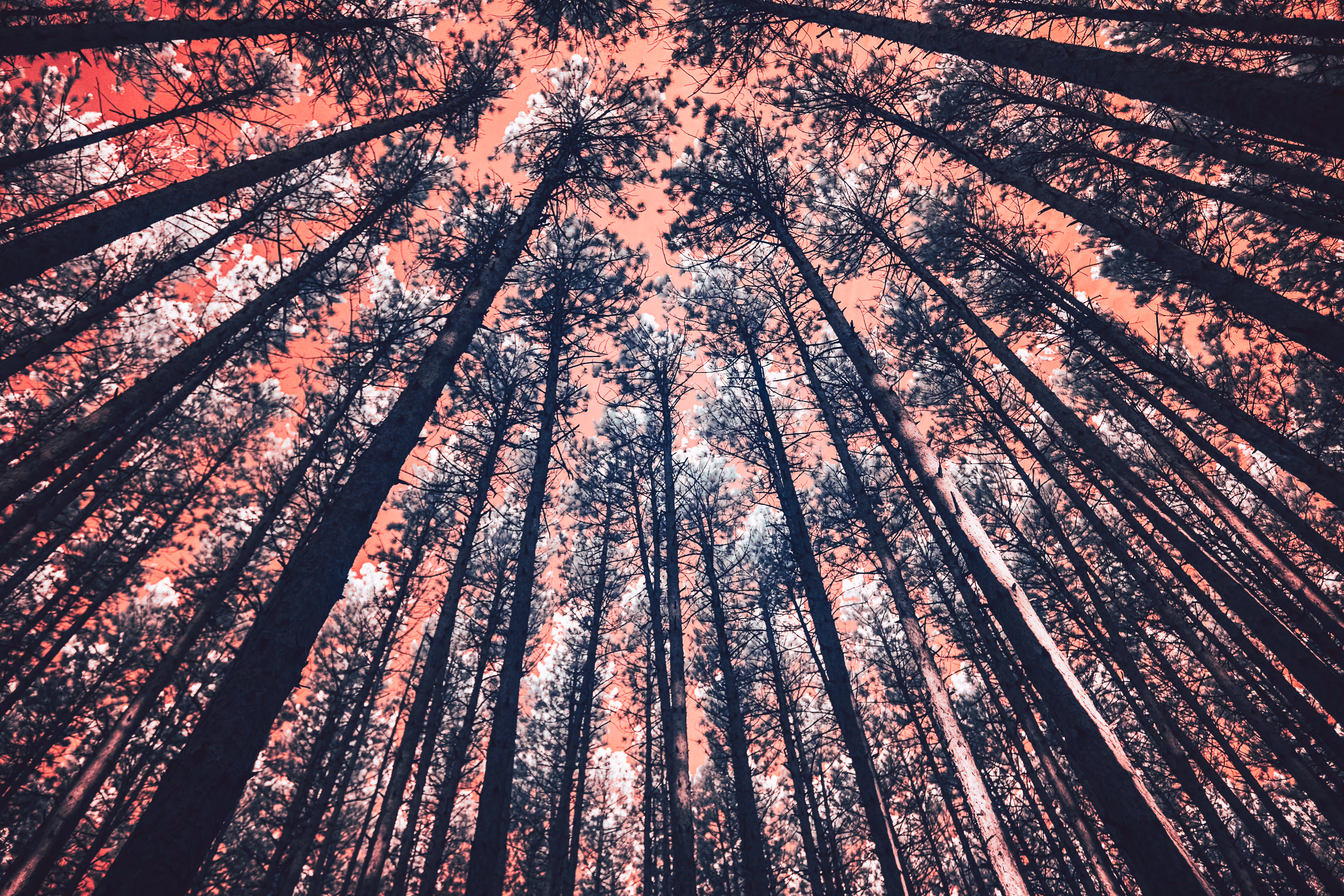 An invisible spectrum 