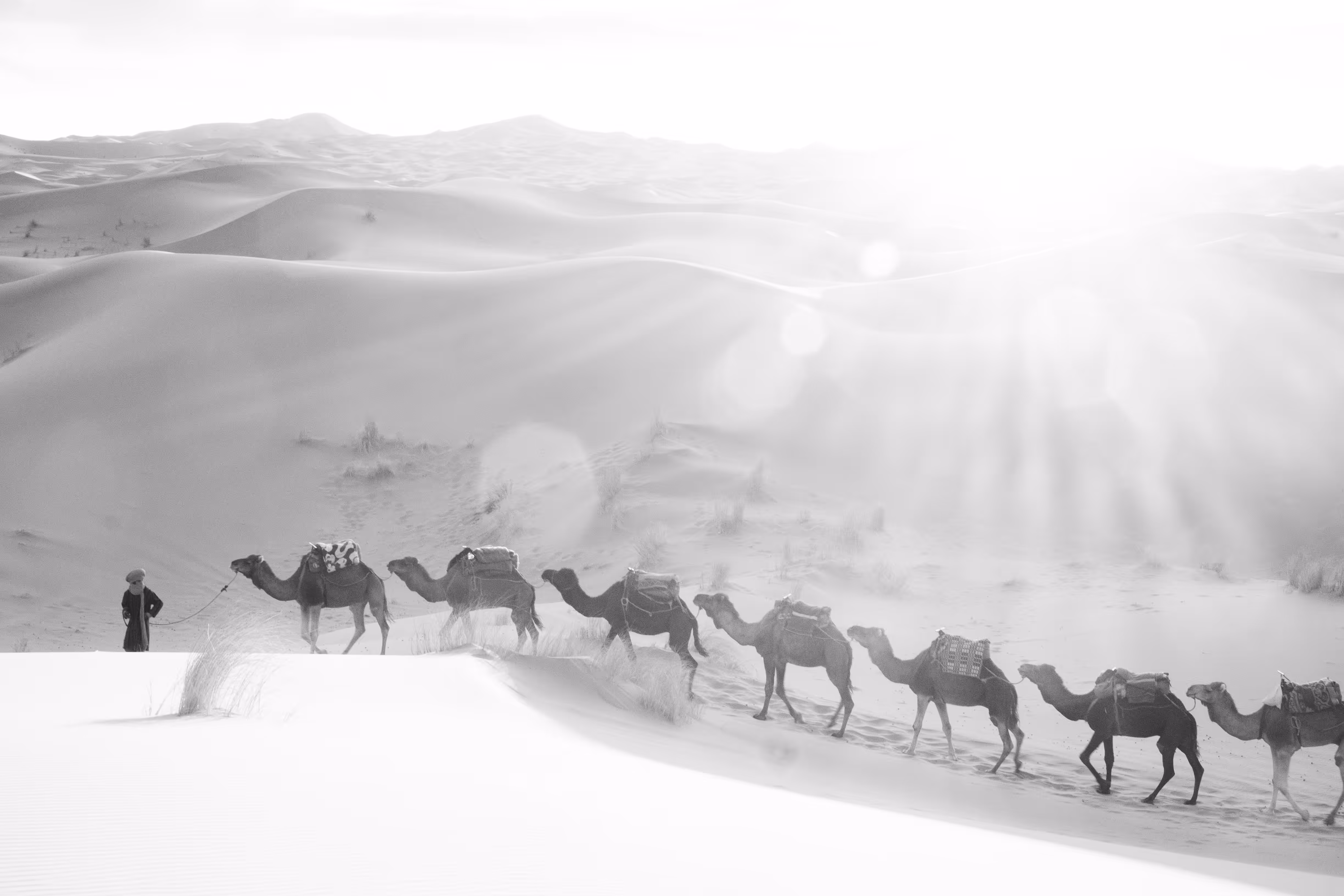 Caravan