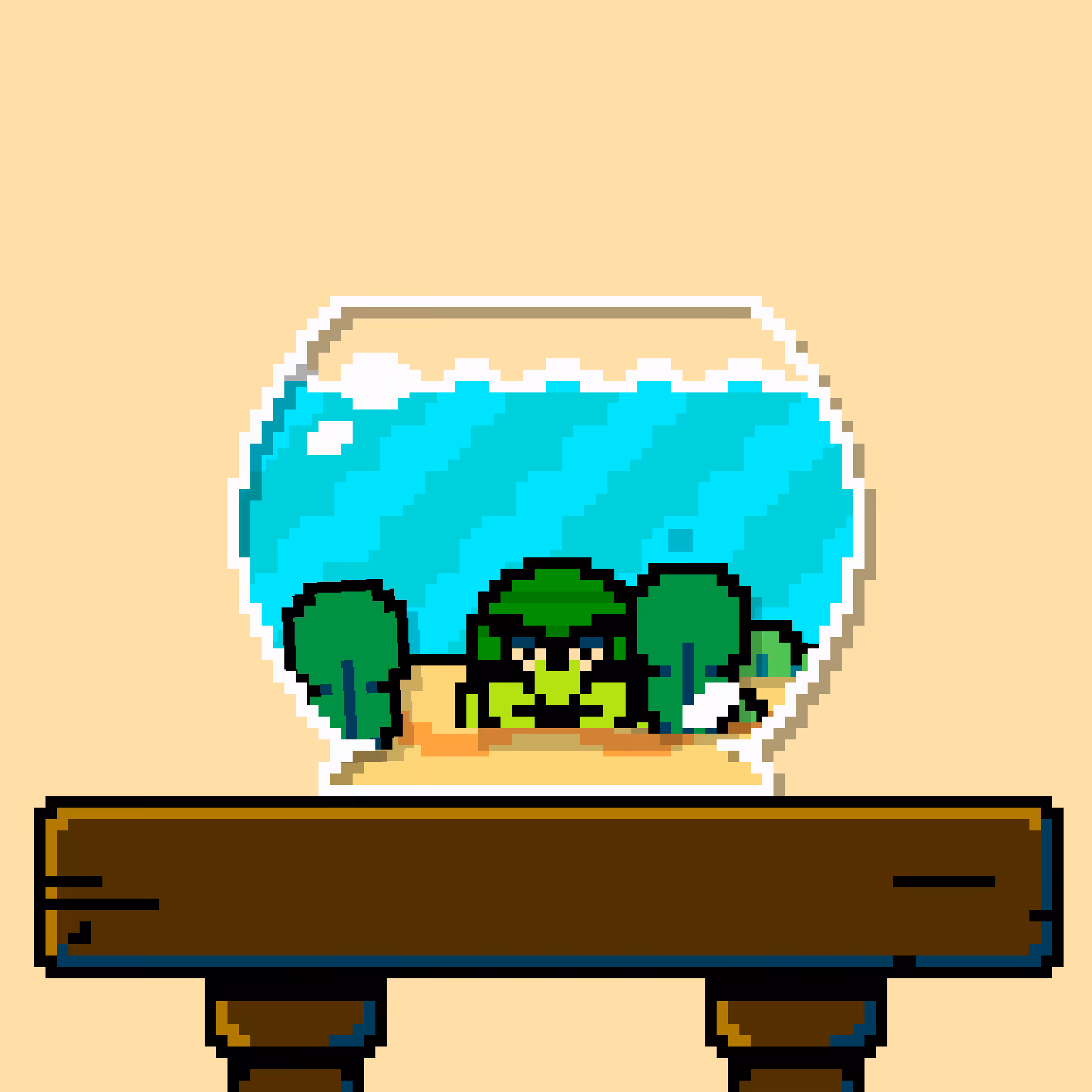 hermit crab #79