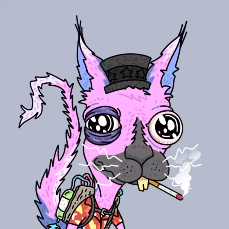 Adderrels #5
