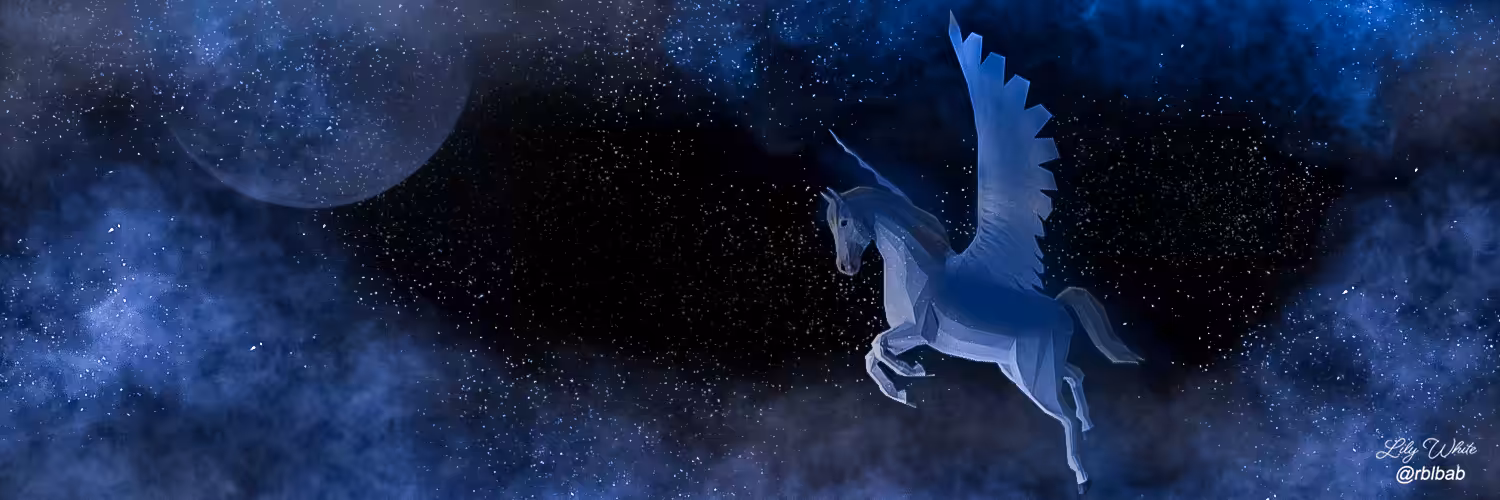 Social Media Banner 47
