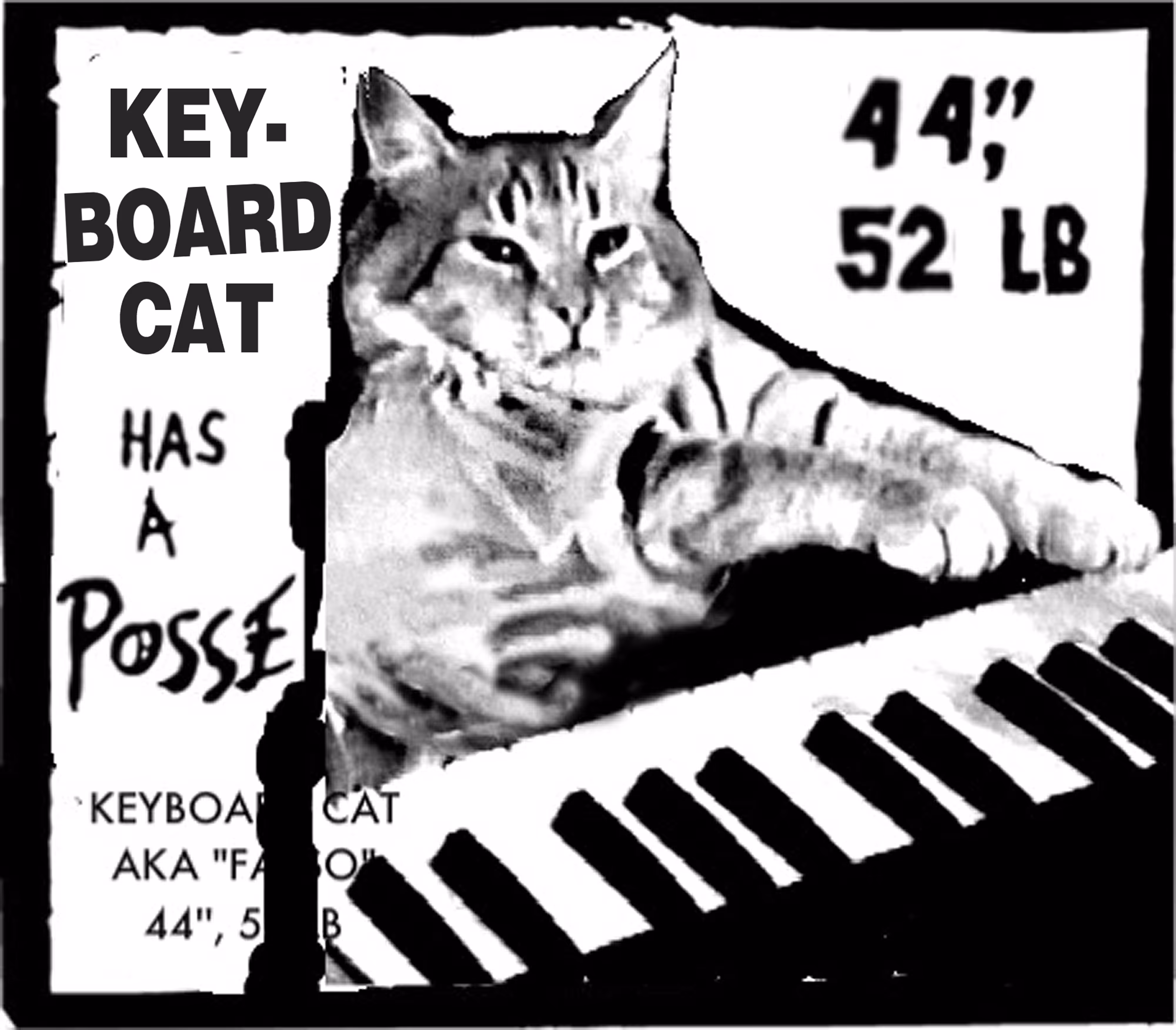 KEYBOARD CAT HAS A POSSE