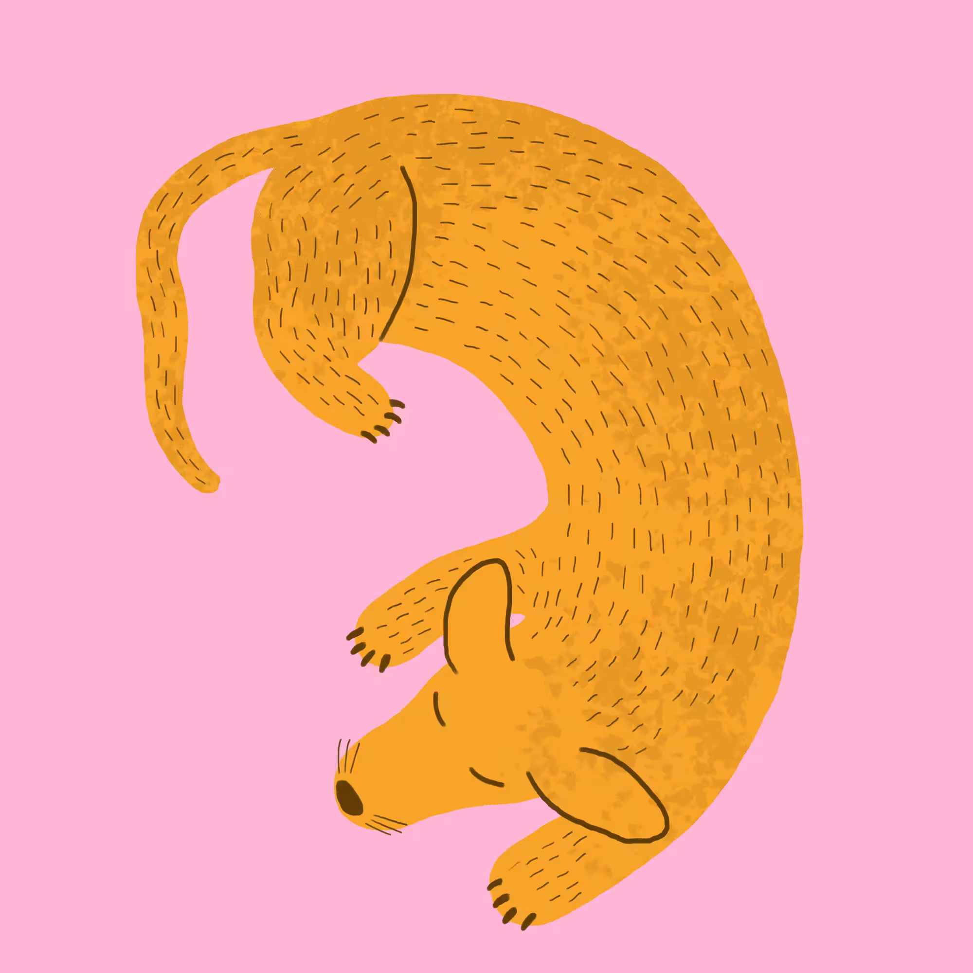 Snuggle up